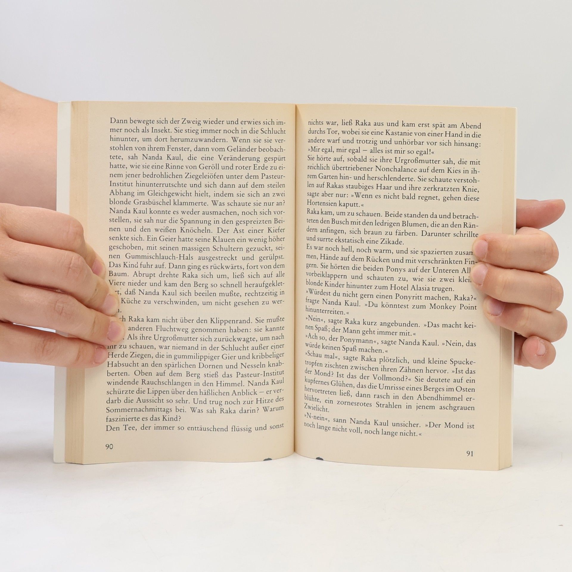 Anita Desai Berg im Feuer. Roman.