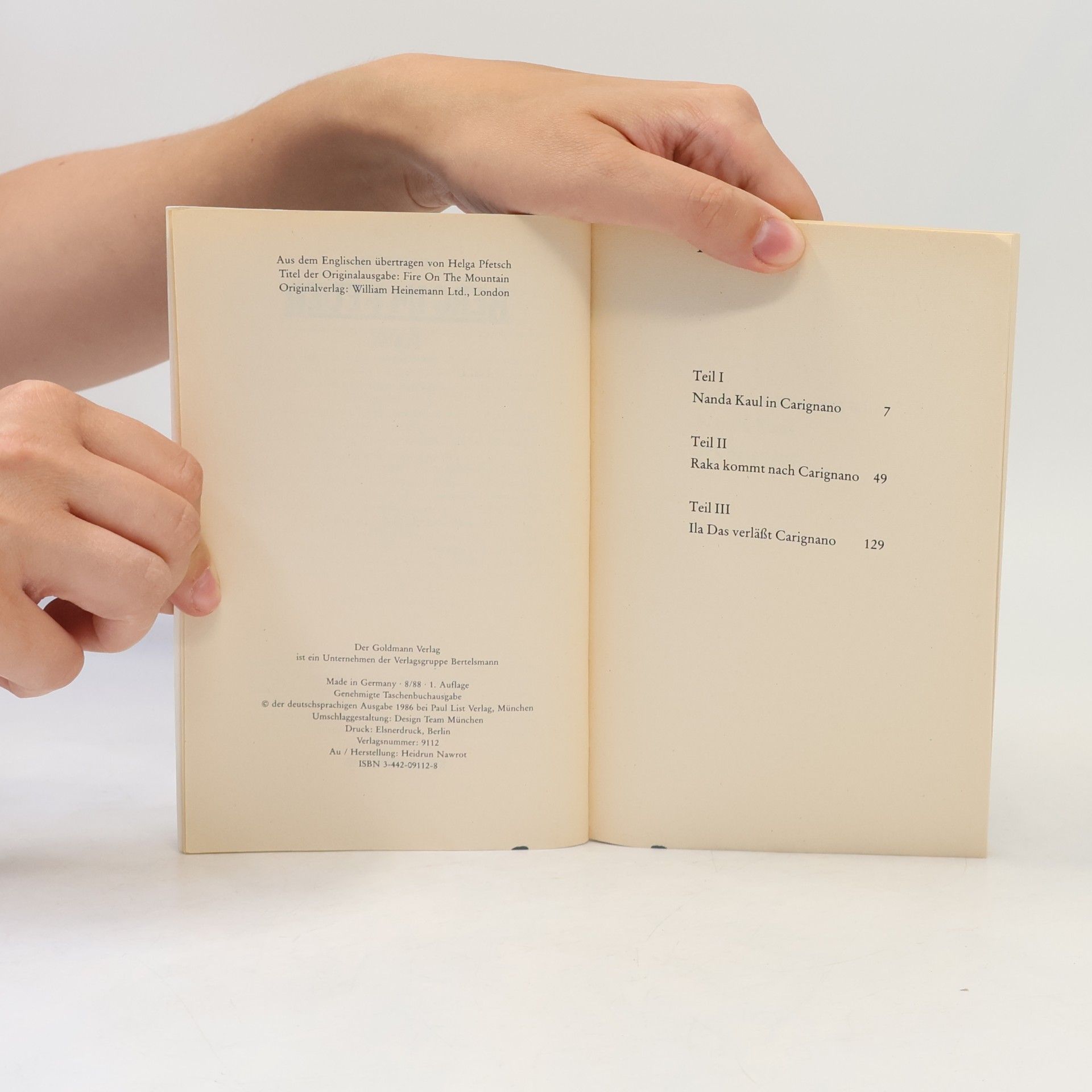 Anita Desai Berg im Feuer. Roman.