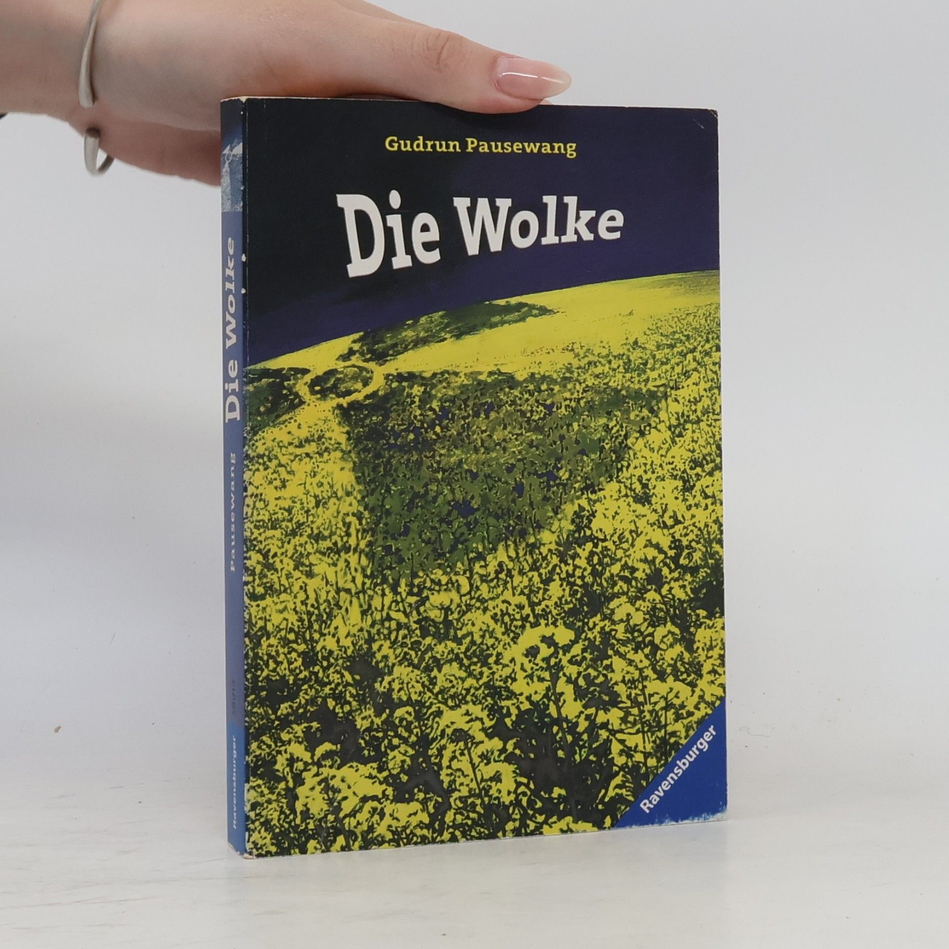 Gudrun Pausenwang Die Wolke