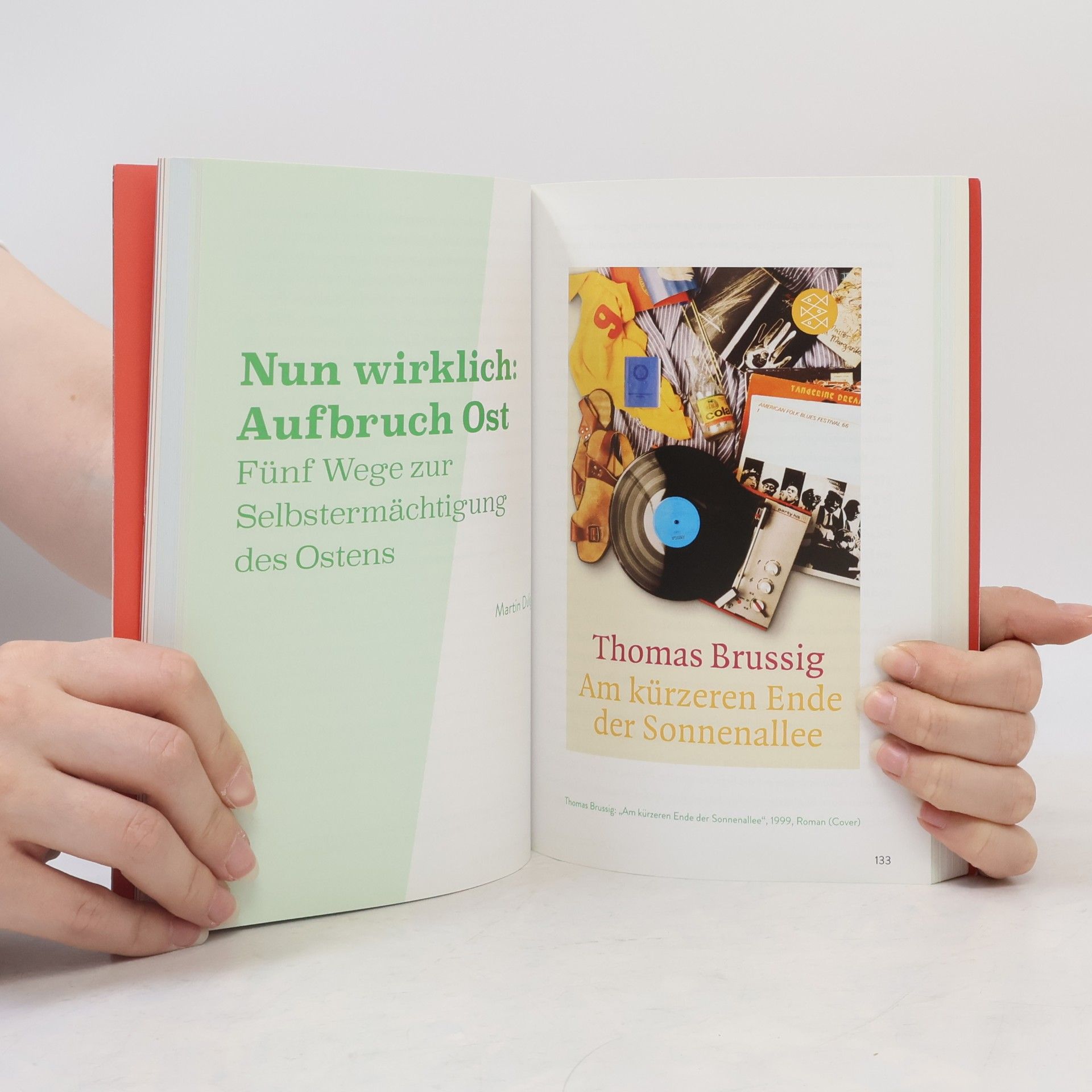 Franziska Richter Traumland