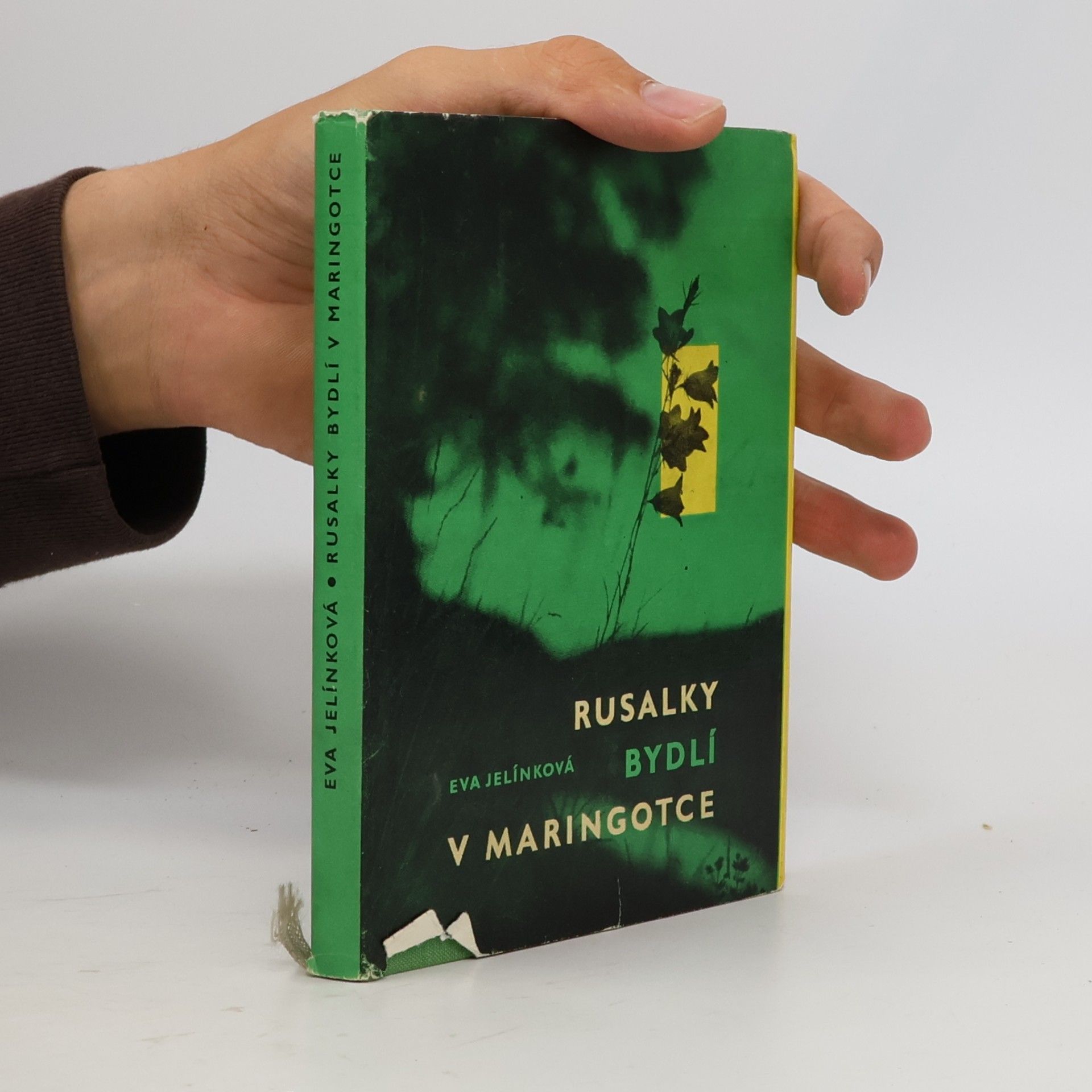 Eva Jelínková Rusalky bydlí v maringotce