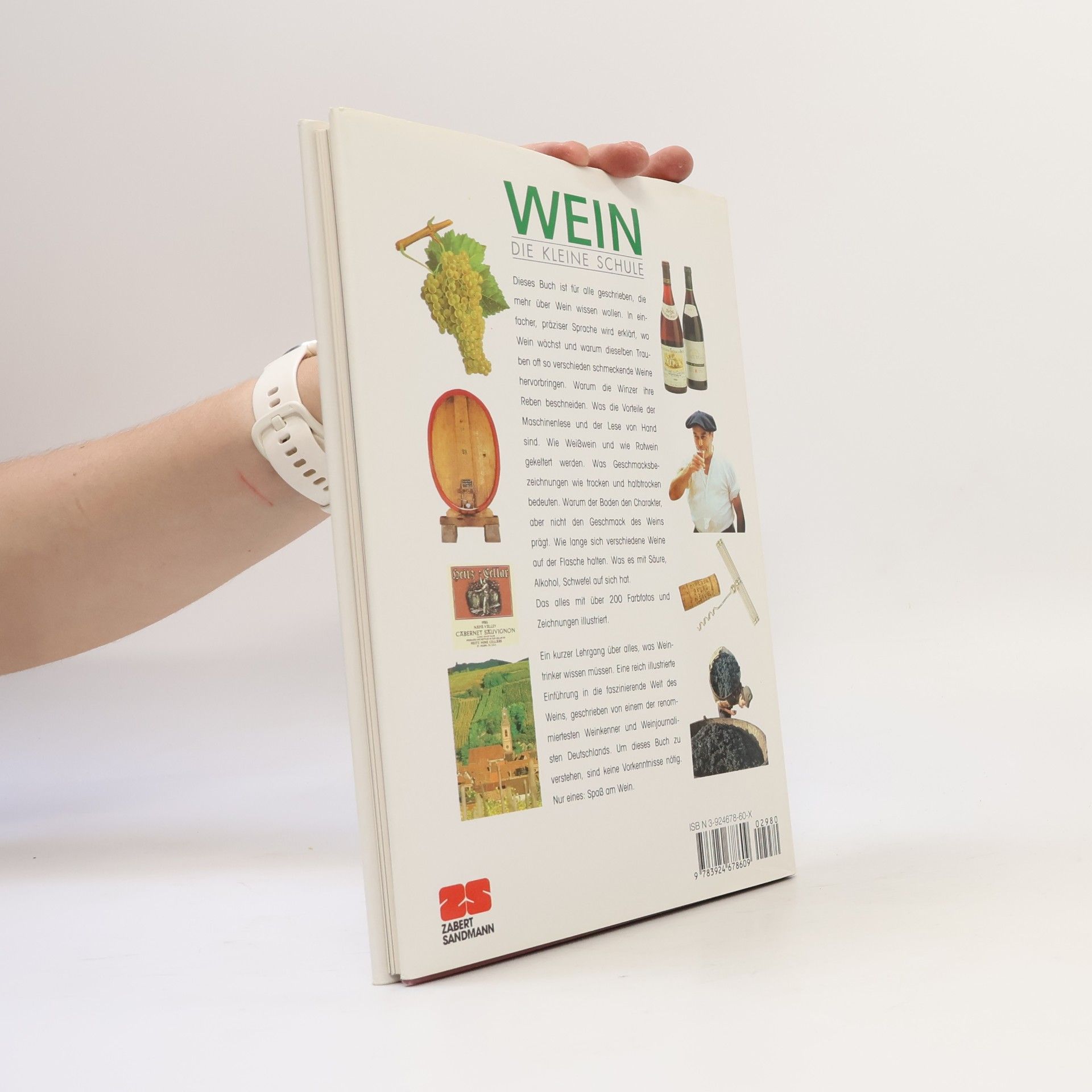 Autorenkollektiv Wein: die kleine Schule