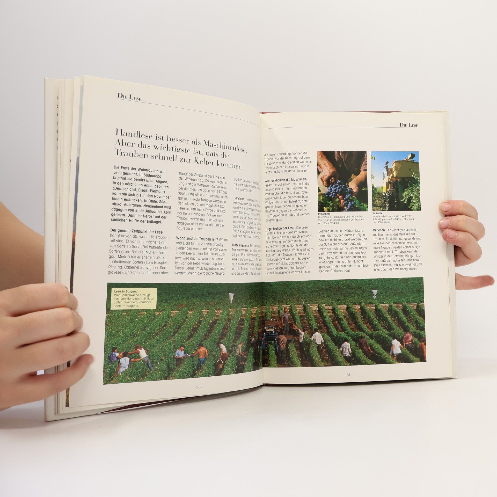Autorenkollektiv Wein: die kleine Schule