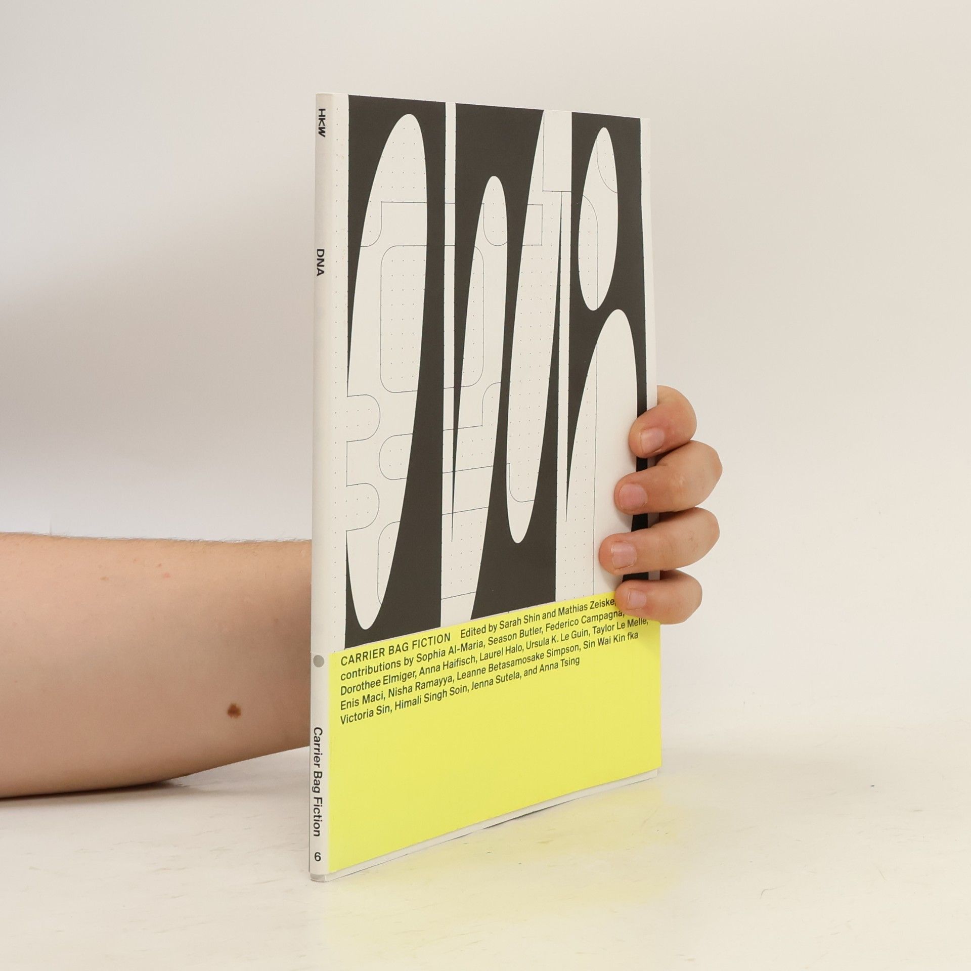 Sarah J. Shin Carrier Bag Fiction