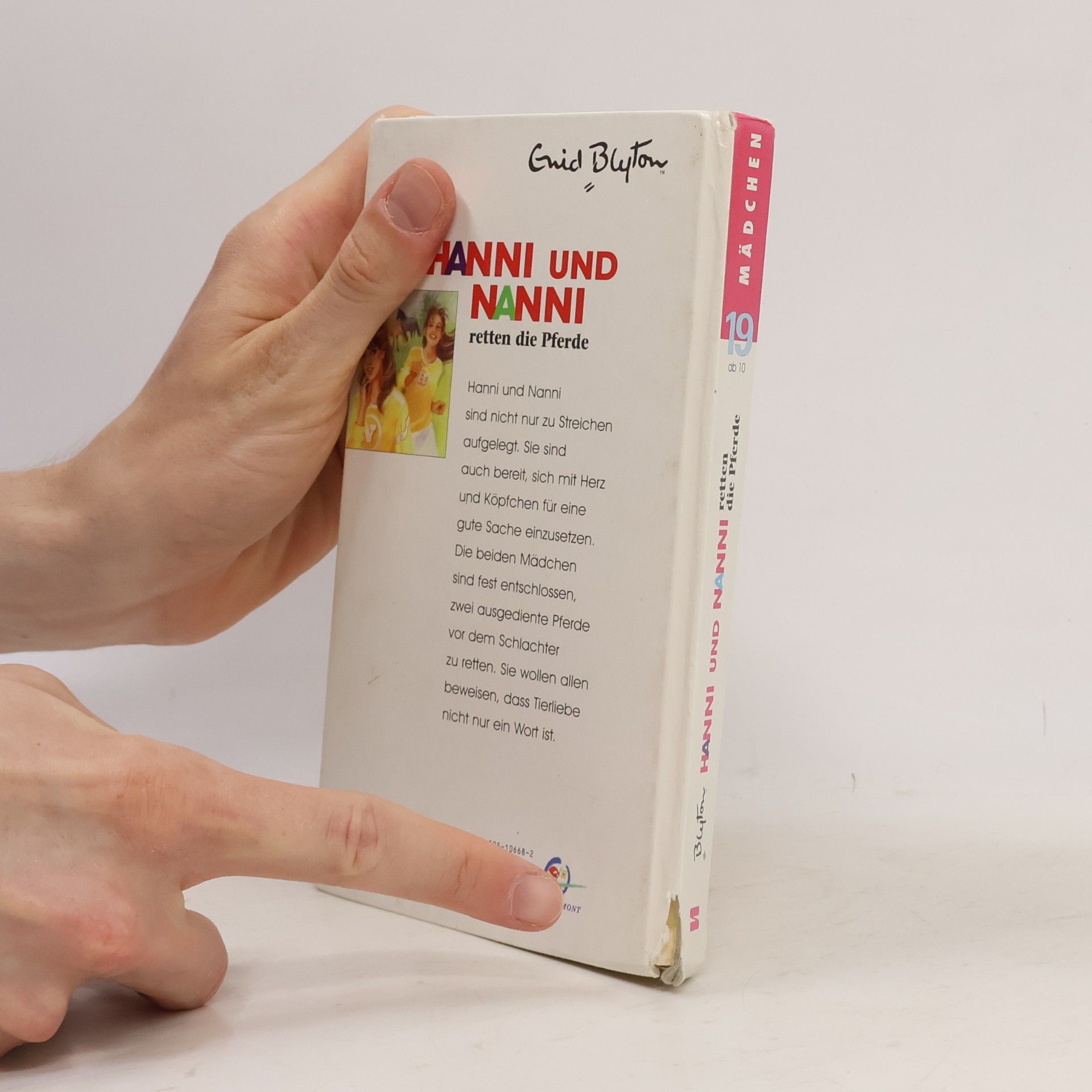 Enid Blyton Hanni und Nanni retten die Pferde