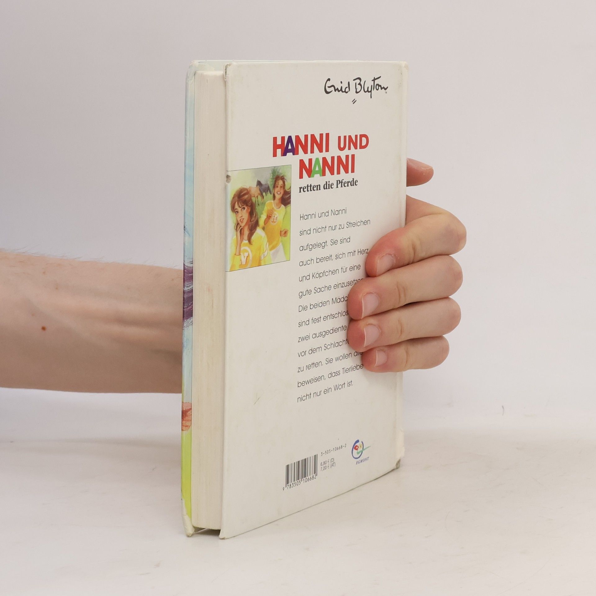 Enid Blyton Hanni und Nanni retten die Pferde