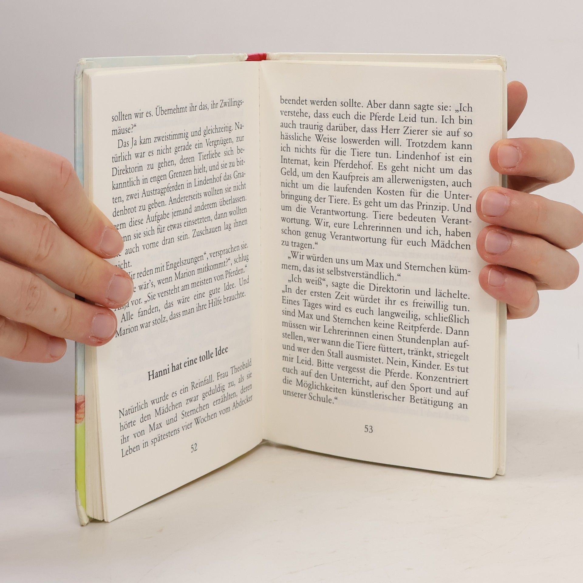 Enid Blyton Hanni und Nanni retten die Pferde