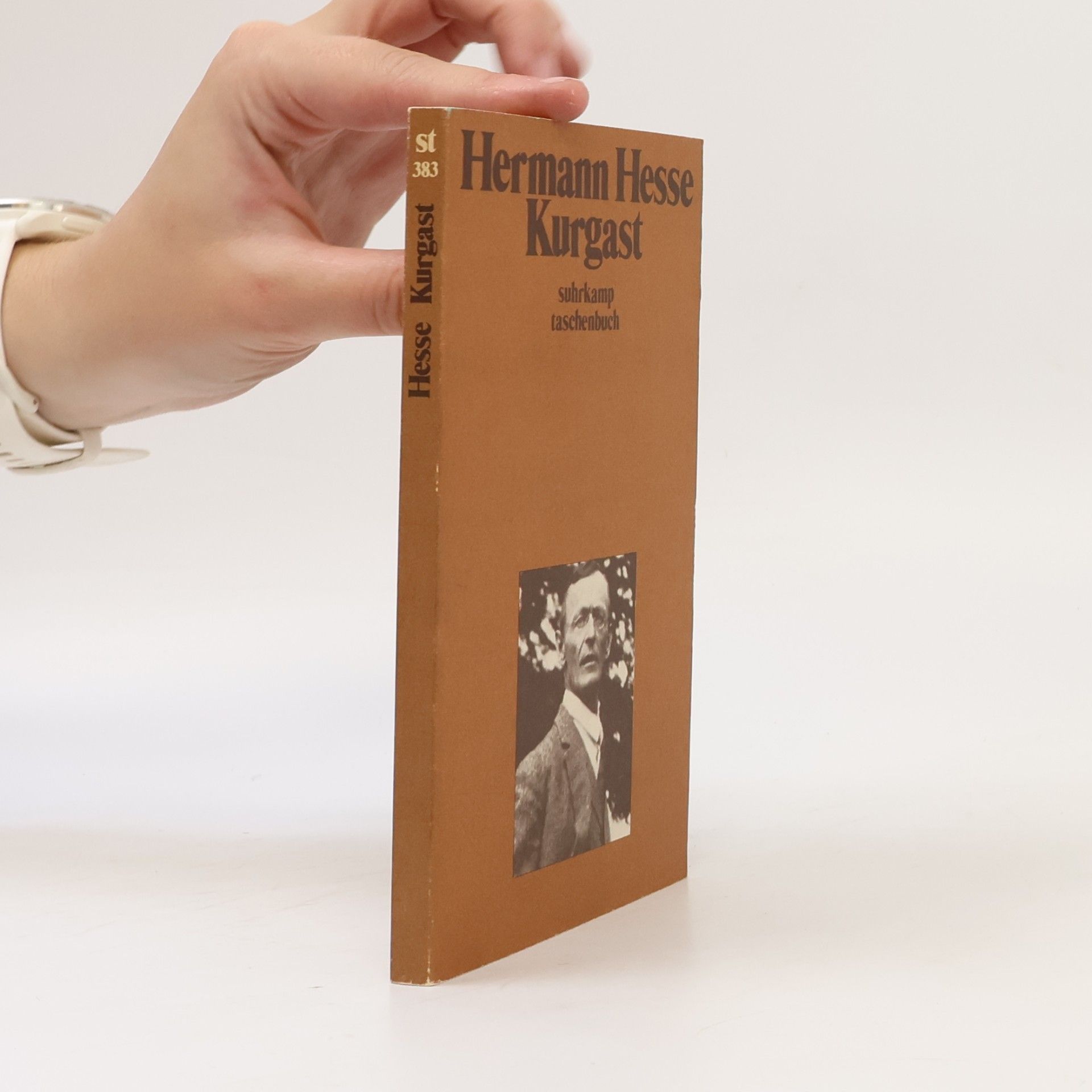 Hermann Hesse Kurgast