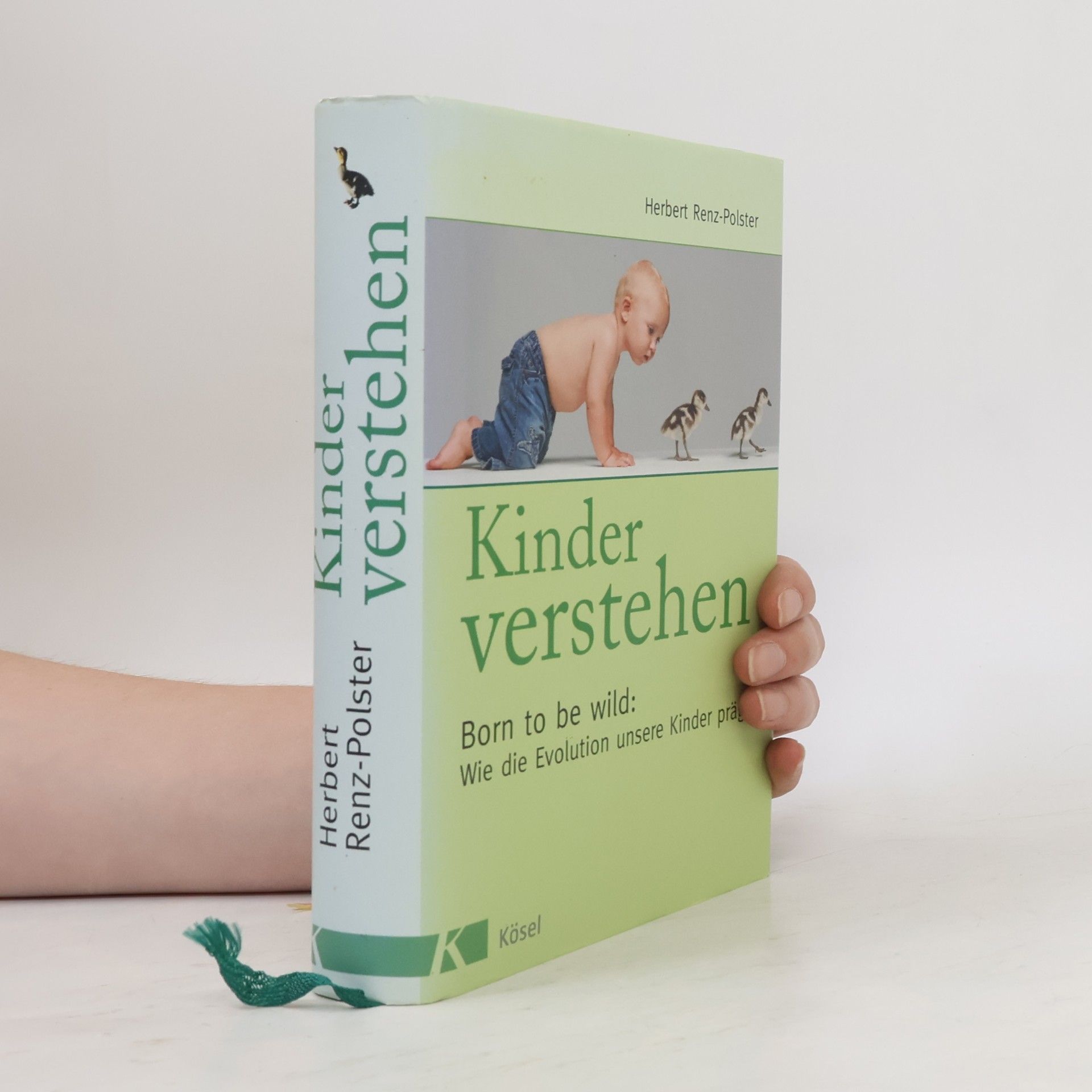 Herbert Renz-Polster Kinder verstehen