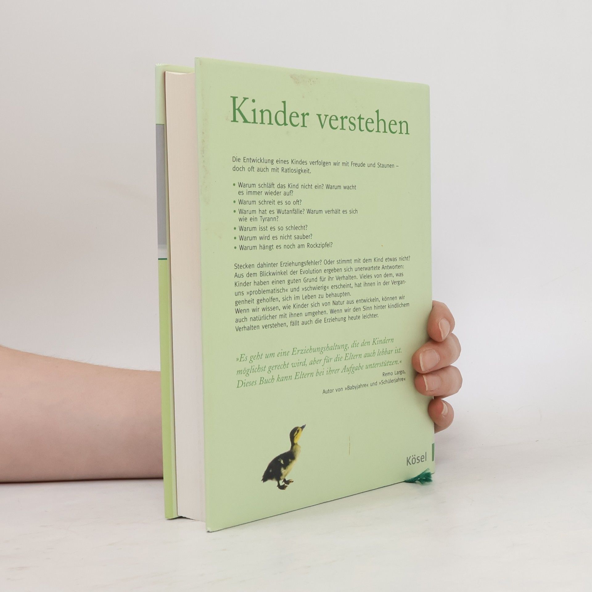 Herbert Renz-Polster Kinder verstehen