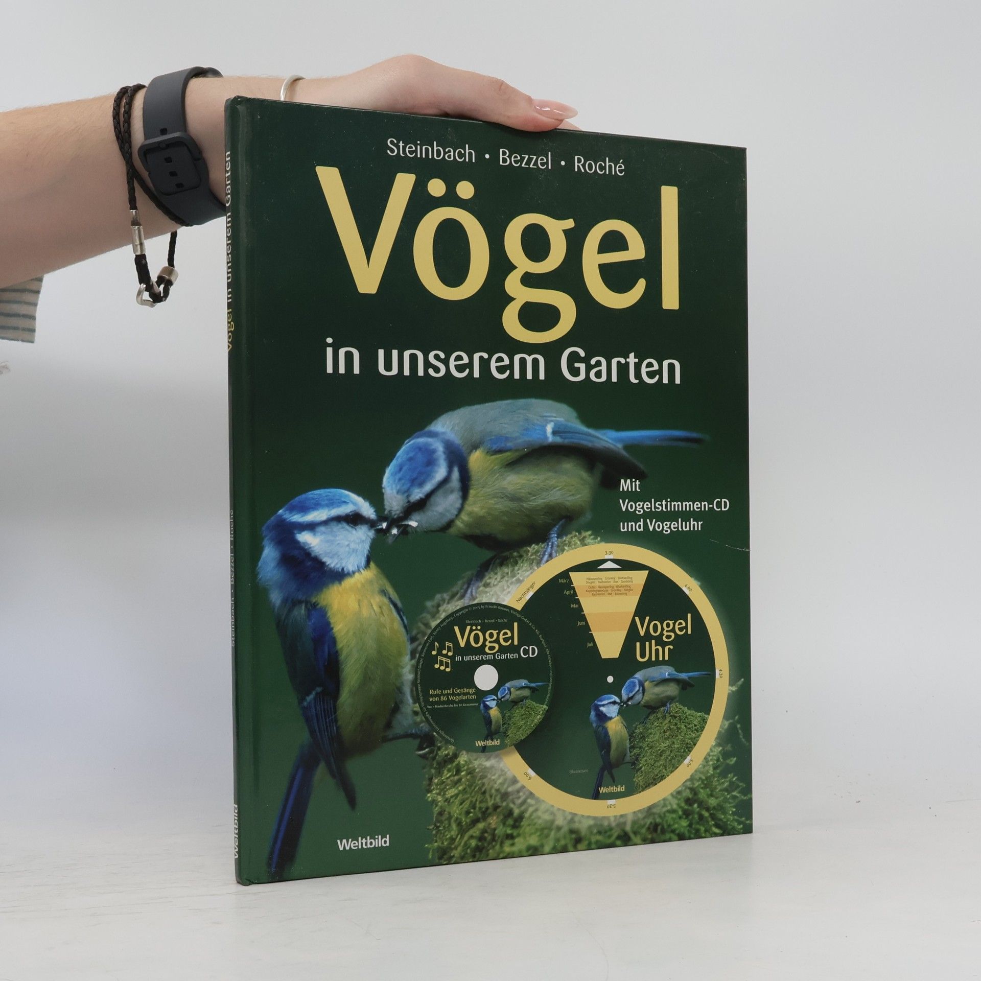 Autorenkollektiv Vögel