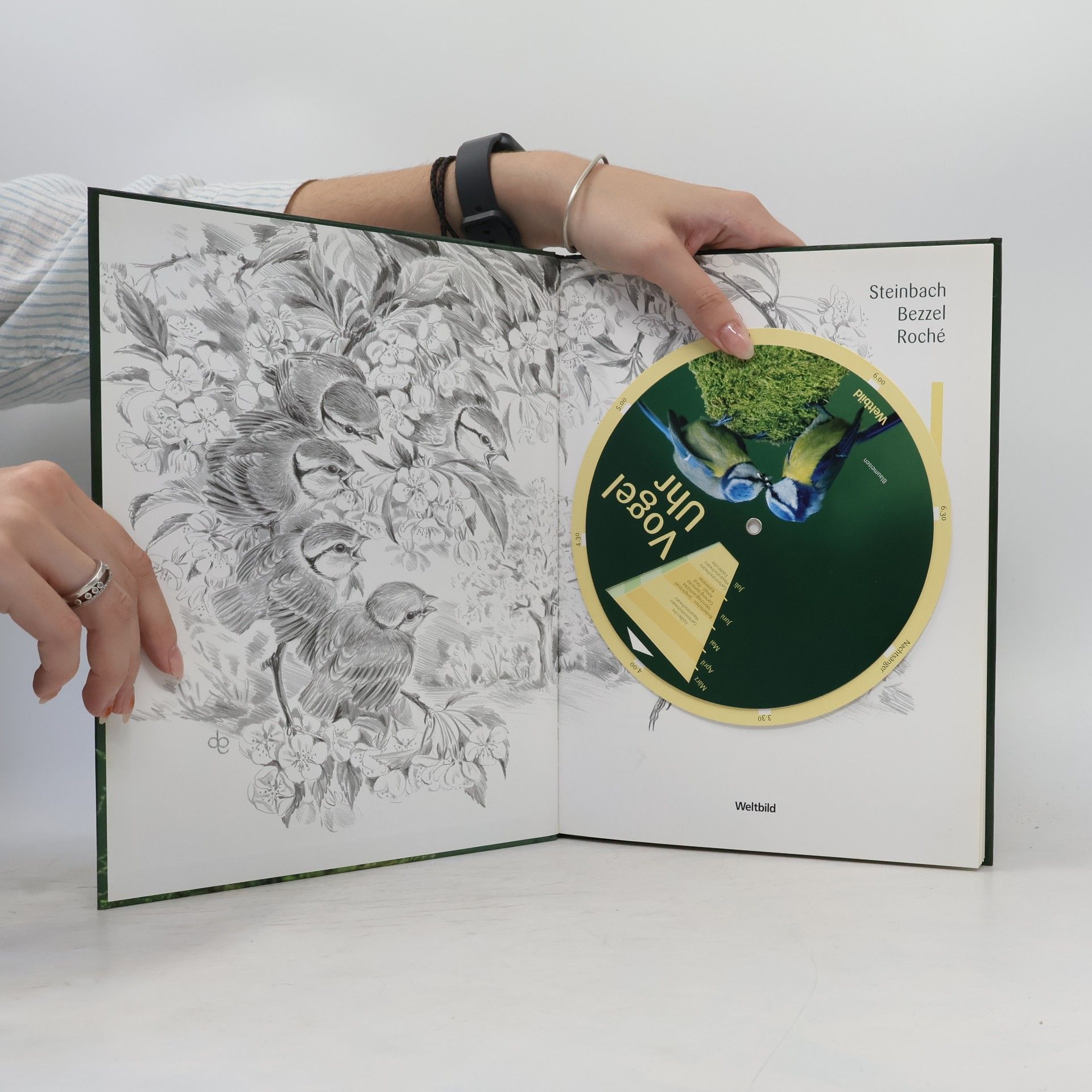 Collectif d'auteurs Vögel