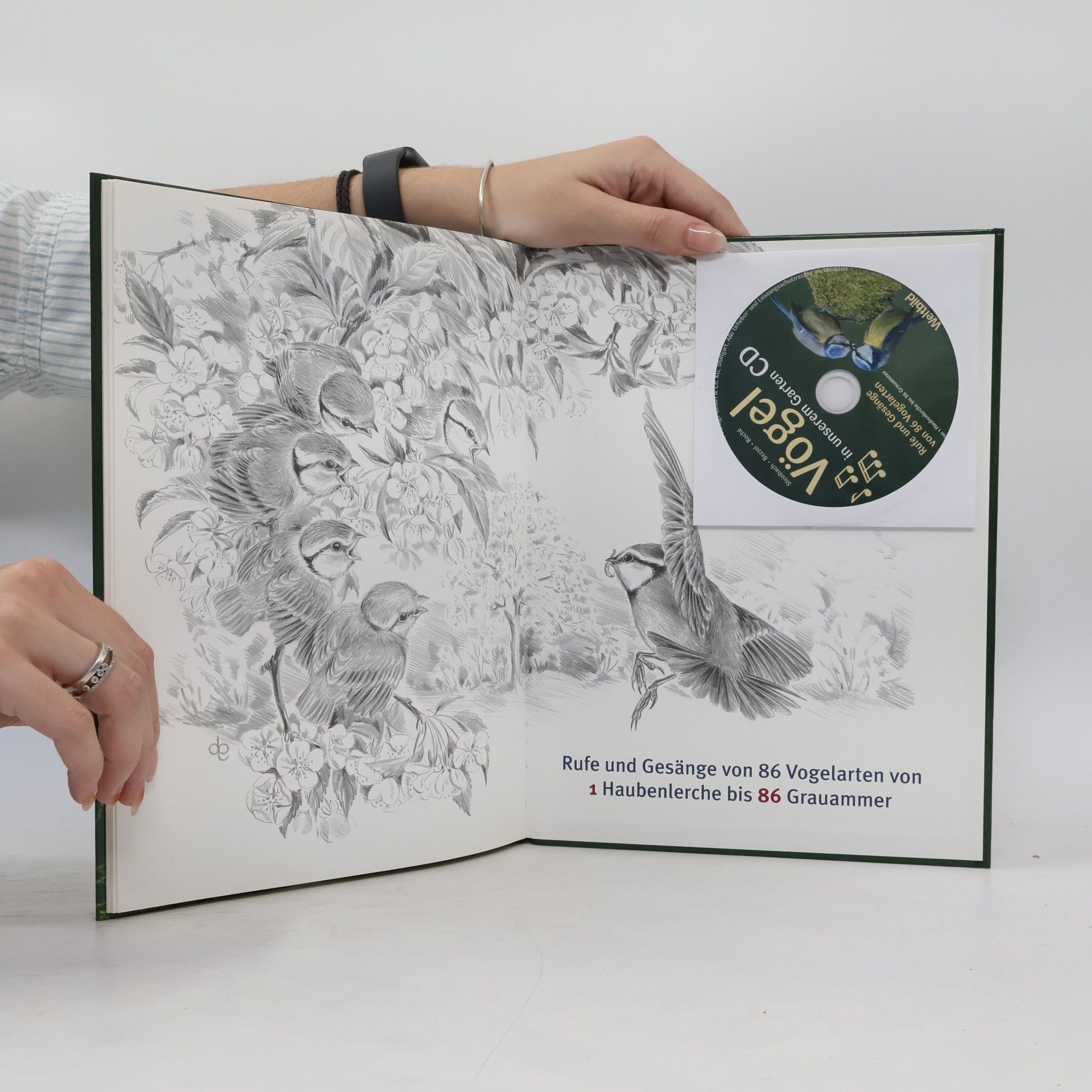 Collectif d'auteurs Vögel