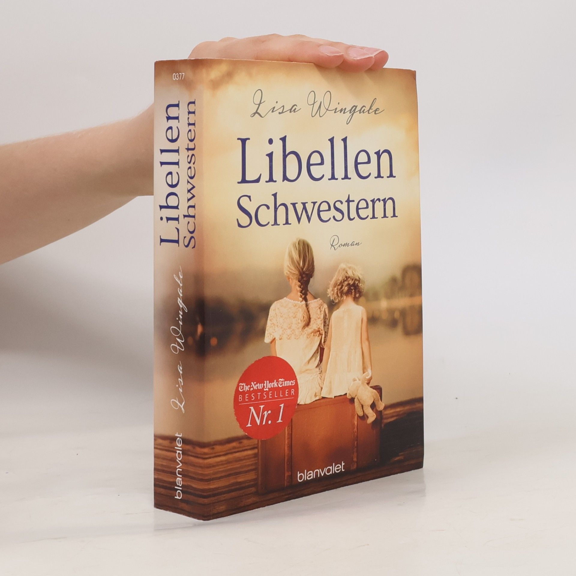 Lisa Wingate Libellenschwestern