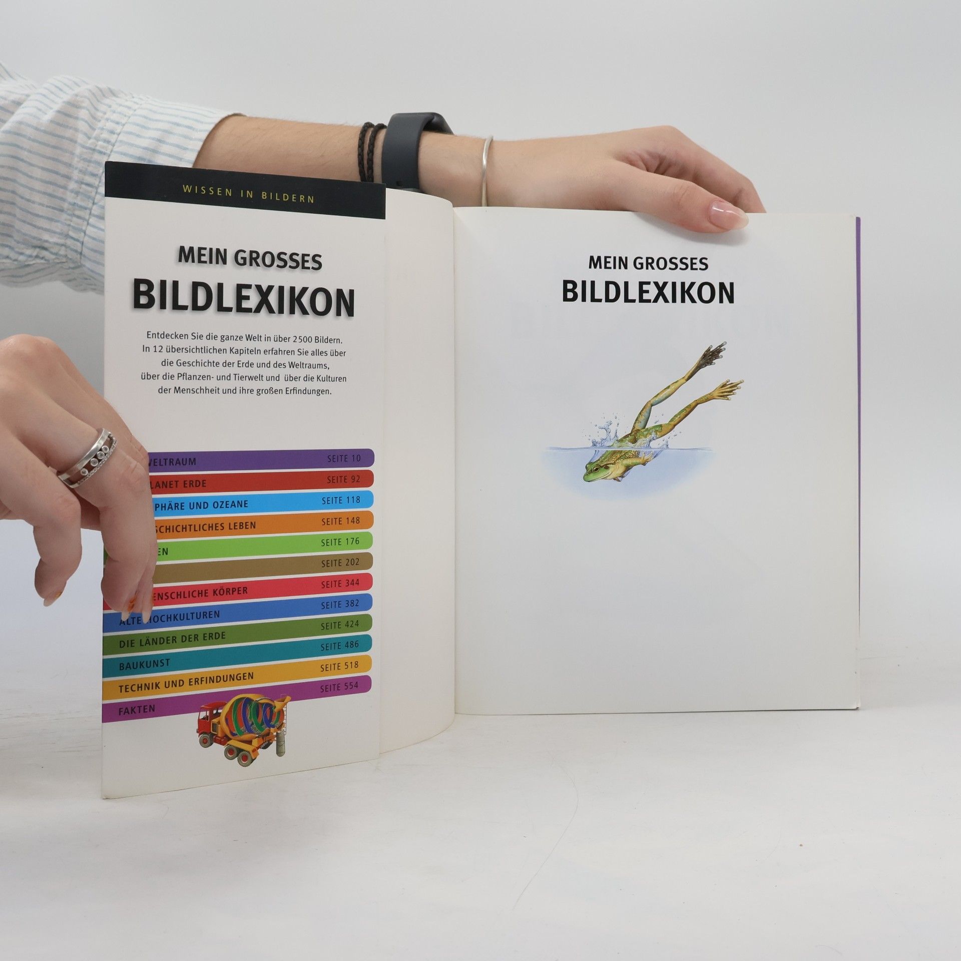 Auteurscollectief Mein grosses bildlexikon