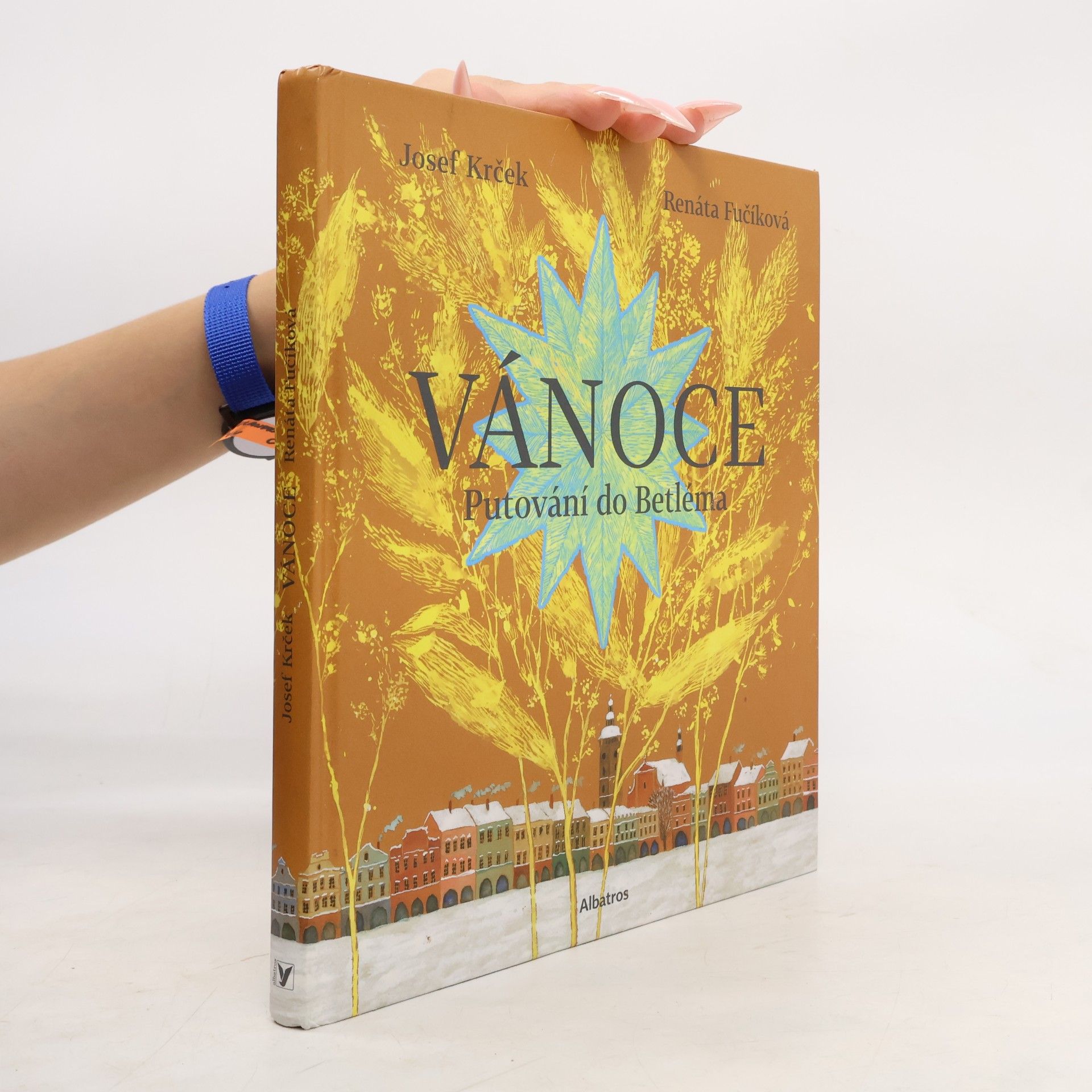 Vánoce : putování do Betléma