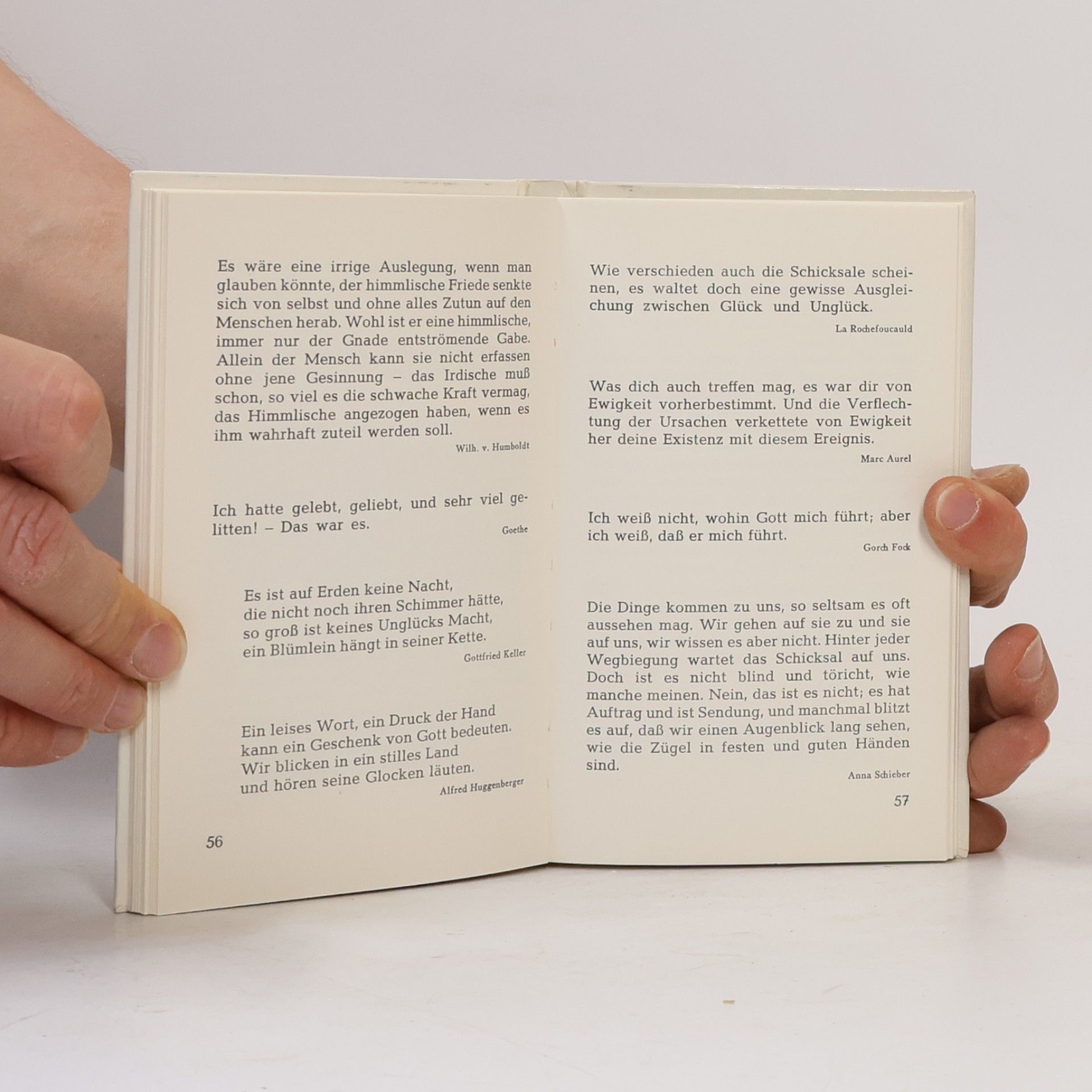 Autorenkollektiv Reichtum des Daseins