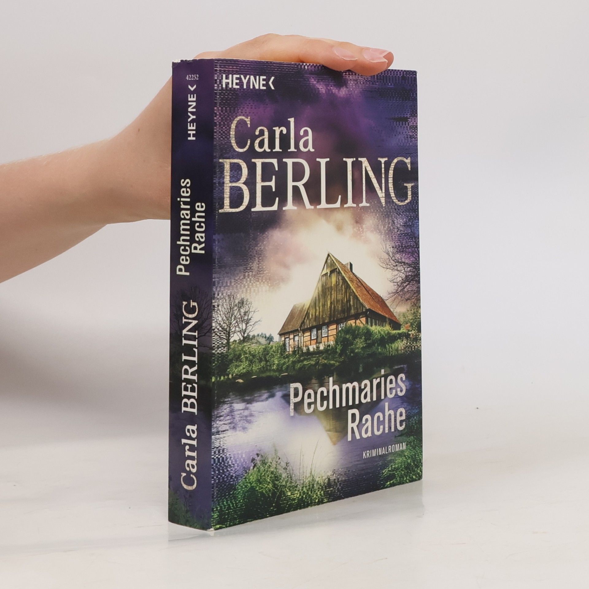 Pechmaries Rache (Wittekind 5)