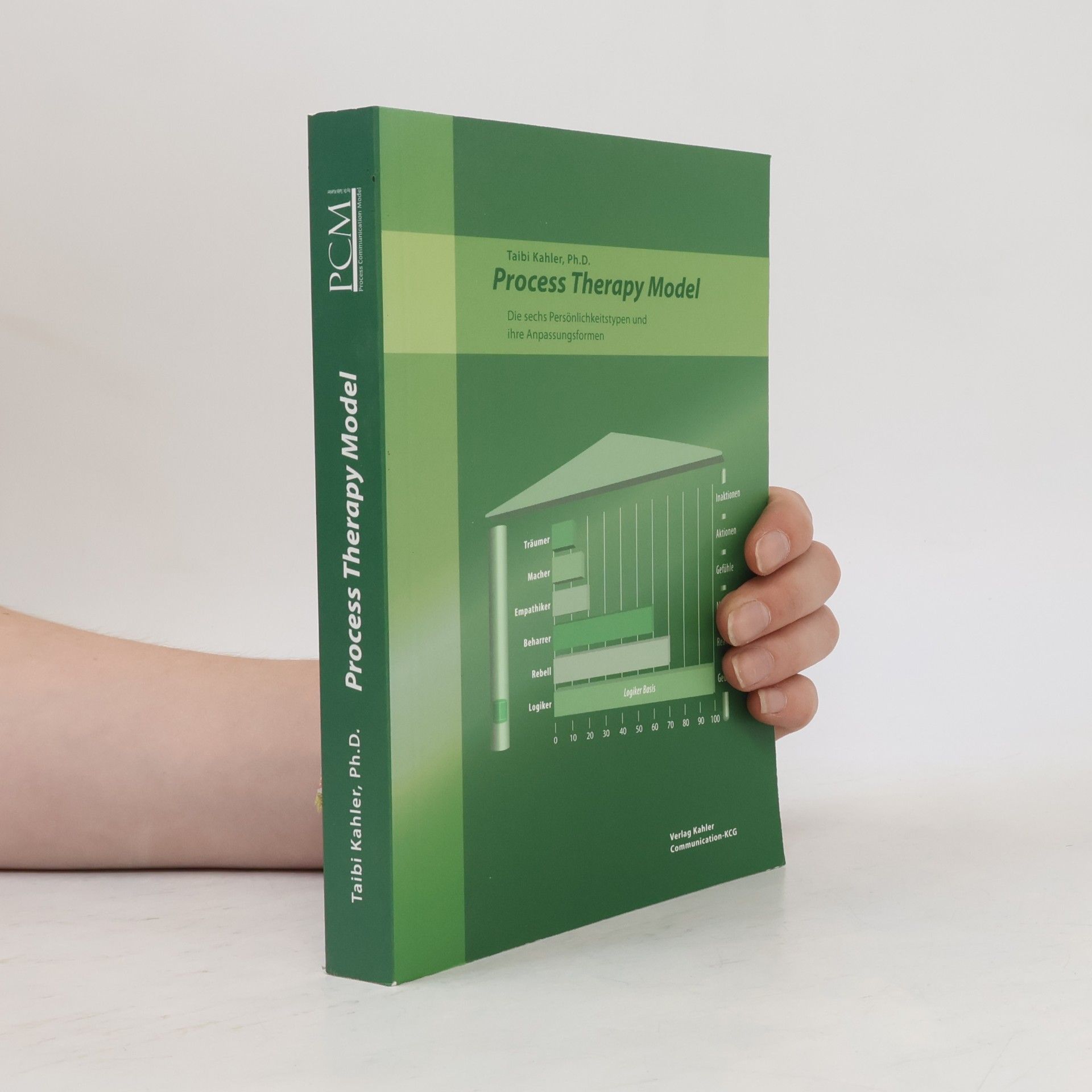 Process Therapry Model