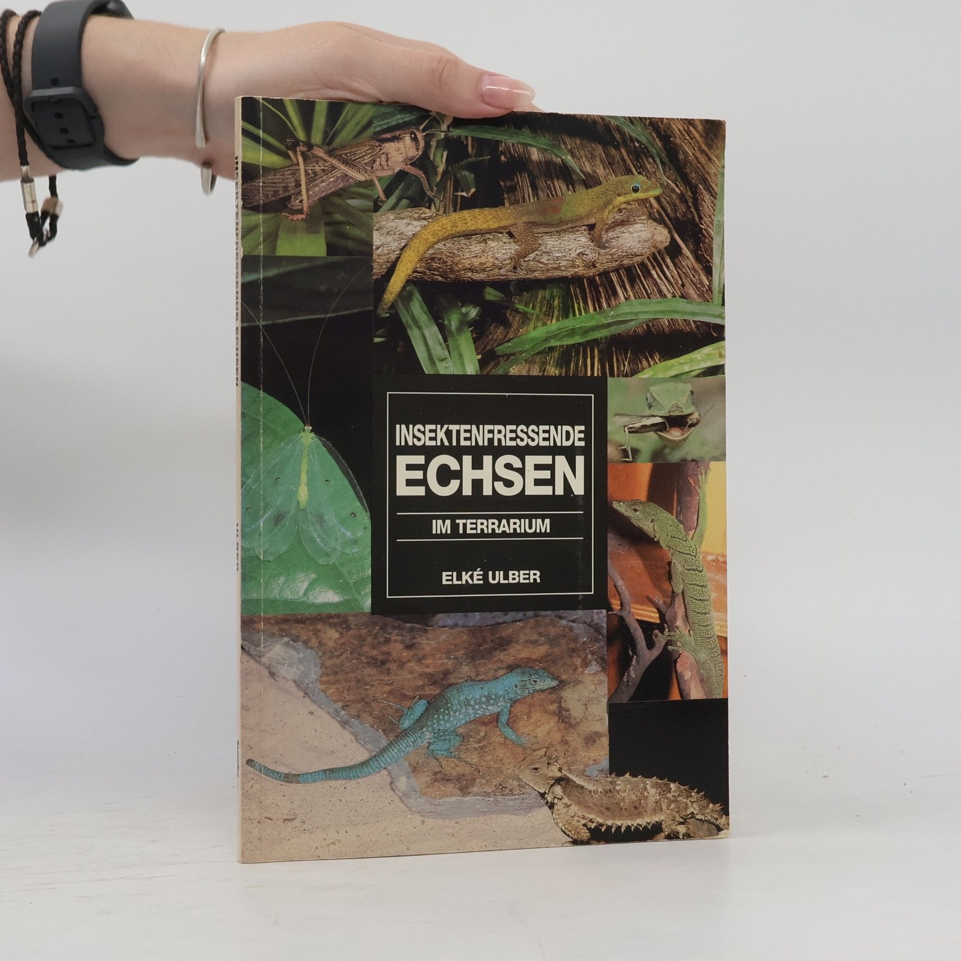 Elké Ulber Insektenfressende Echsen im Terrarium