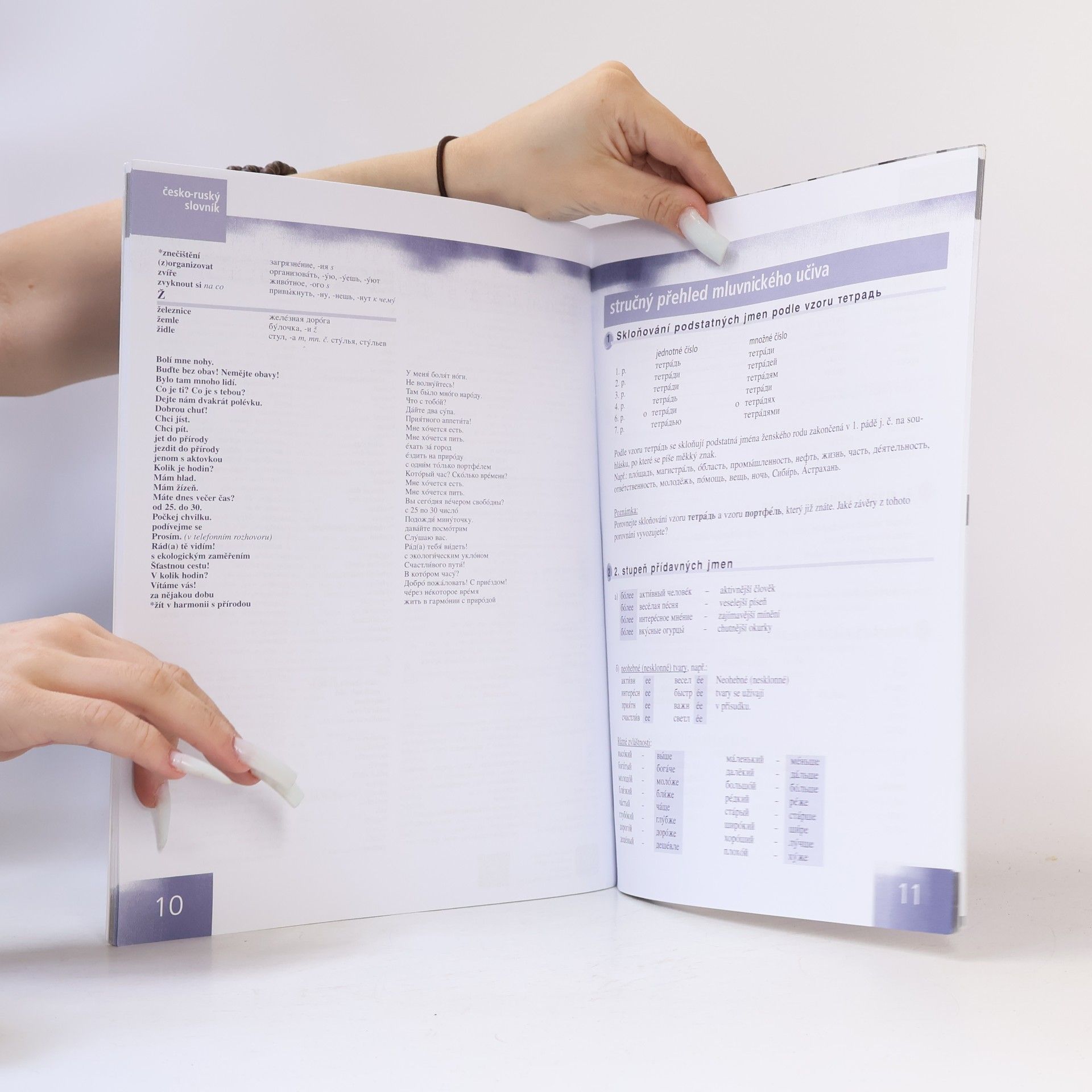 Autorenkollektiv Raduga po-novomu 4- Pracovní sešit