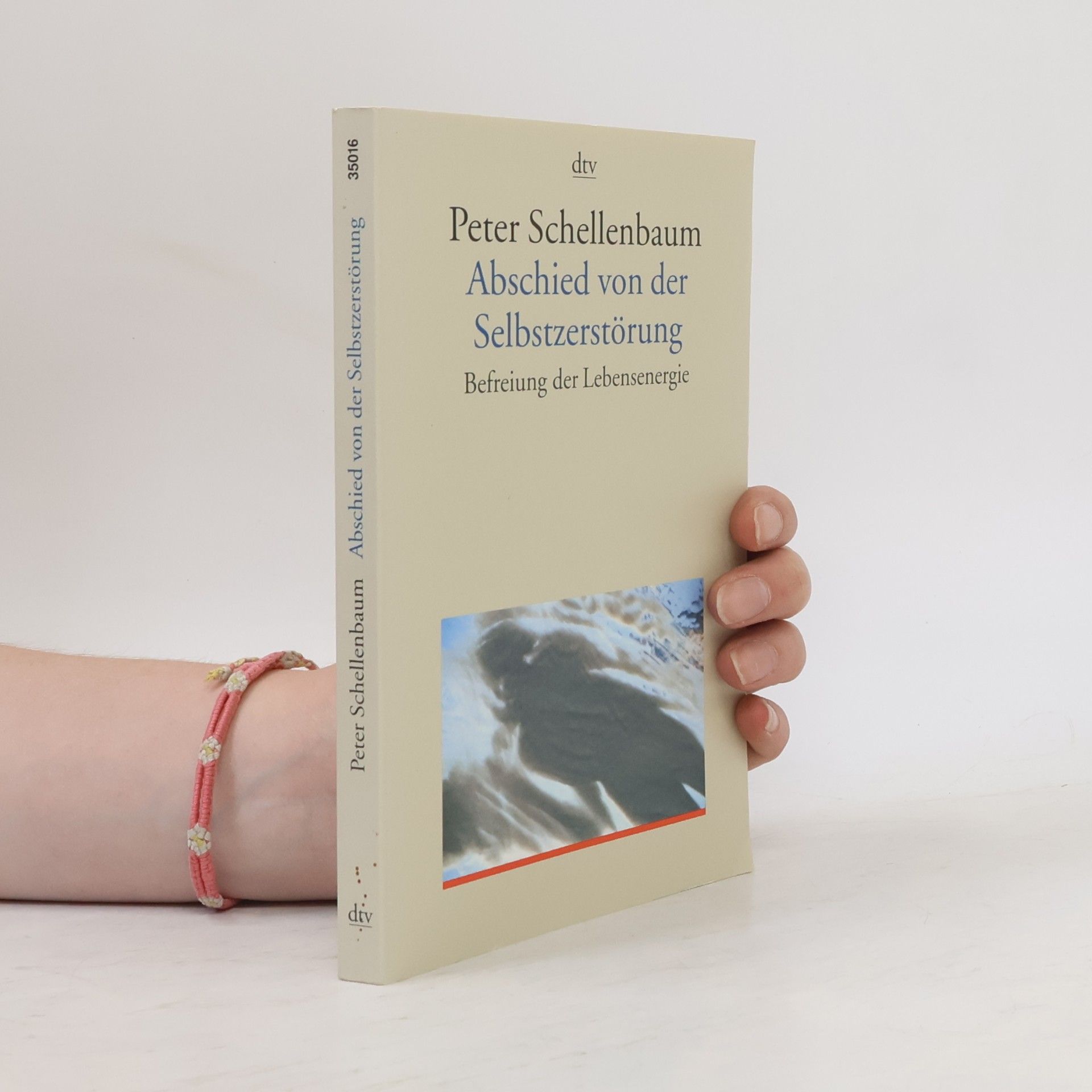 Peter Schellenbaum Abschied von der Selbstzerstörung