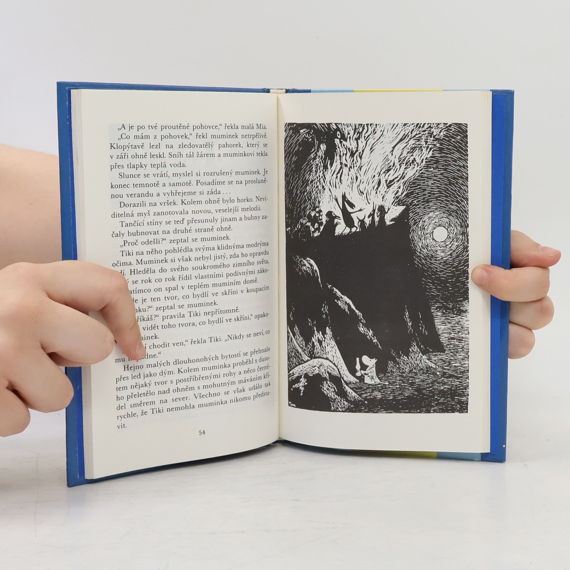 Tove Jansson Čarovná zima