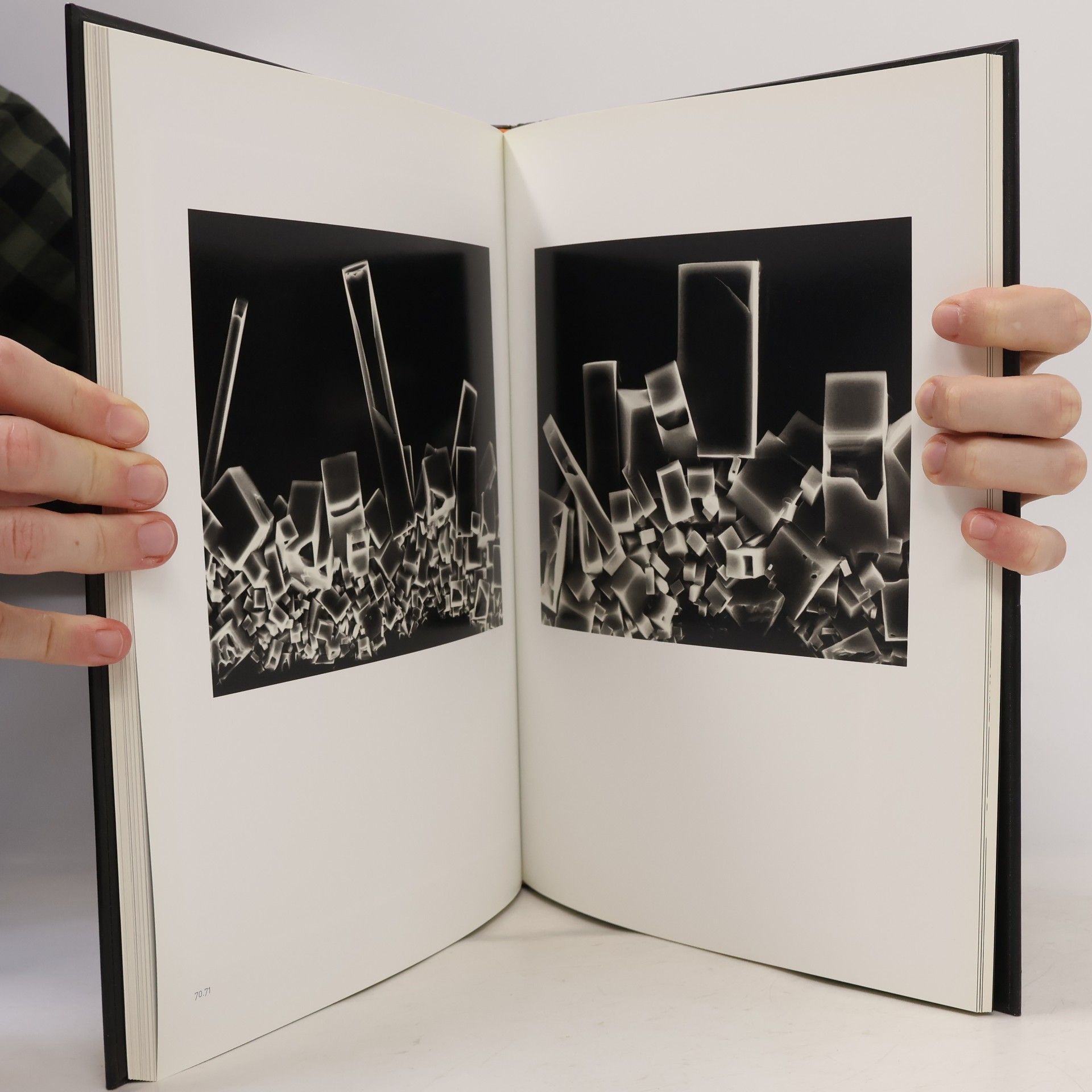 Christiane Stahl Claudia Fährenkemper - Photomicrographs