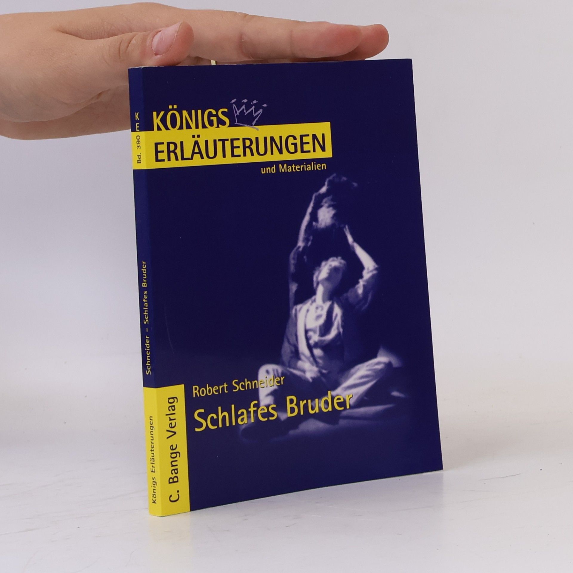 Magret Möckel Erläuterungen zu Robert Schneider, Schlafes Bruder