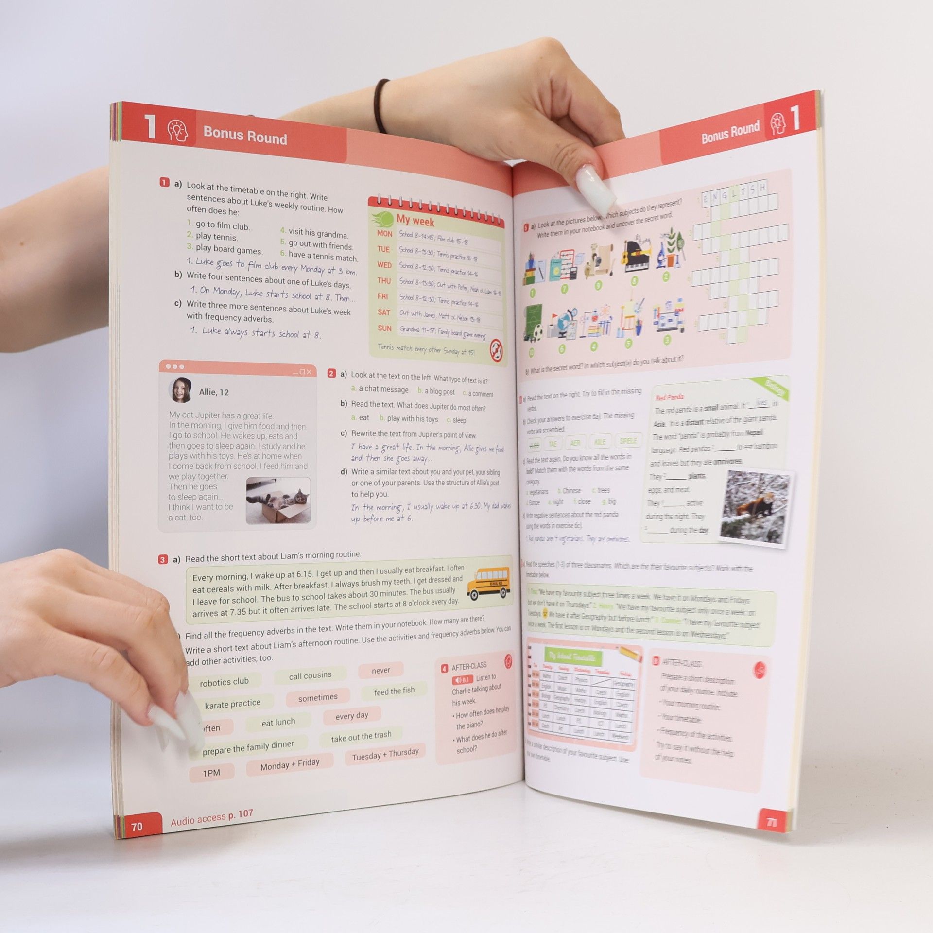 Various authors Upgrade 6 - Student´s book A1+