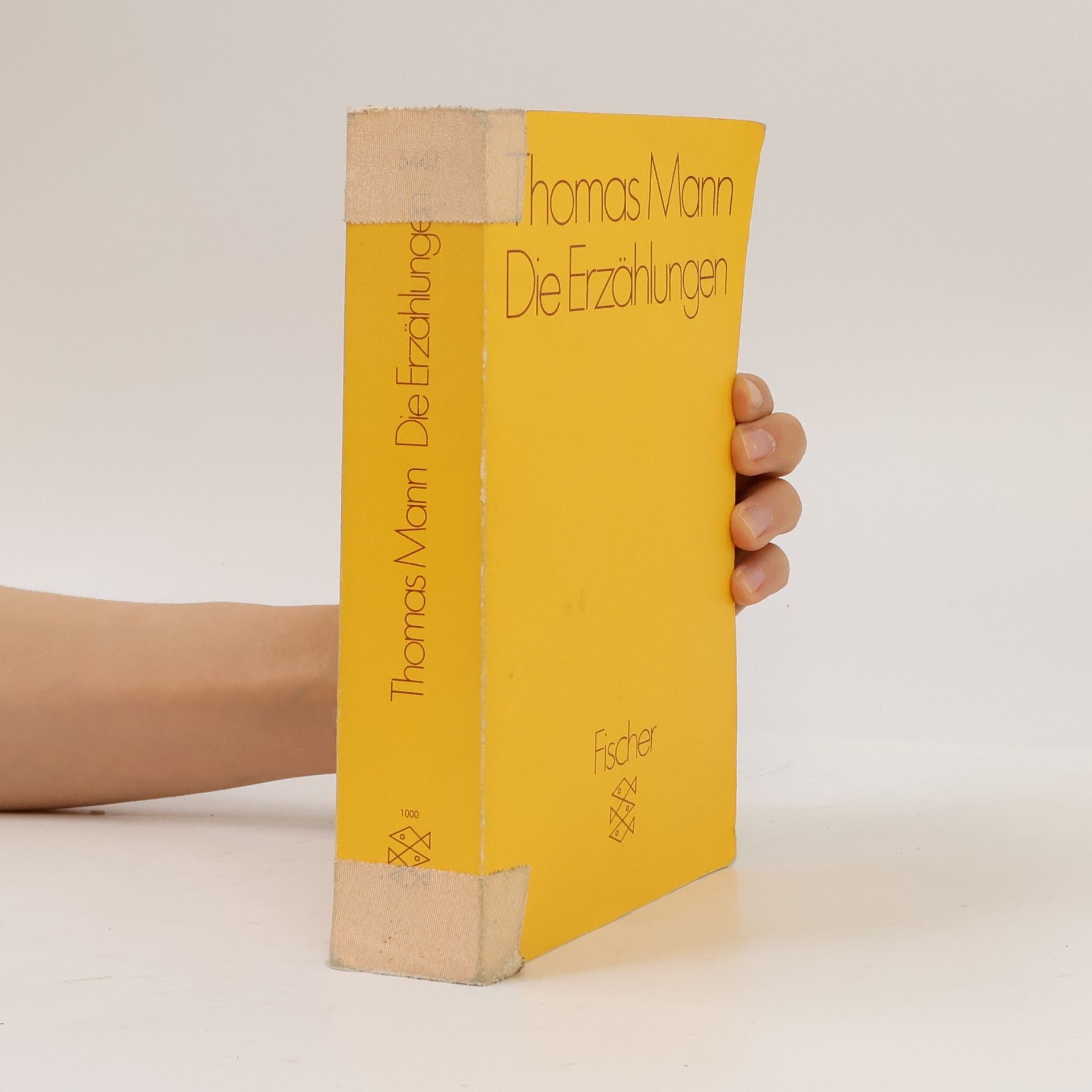 Thomas Mann Die Erzählungen