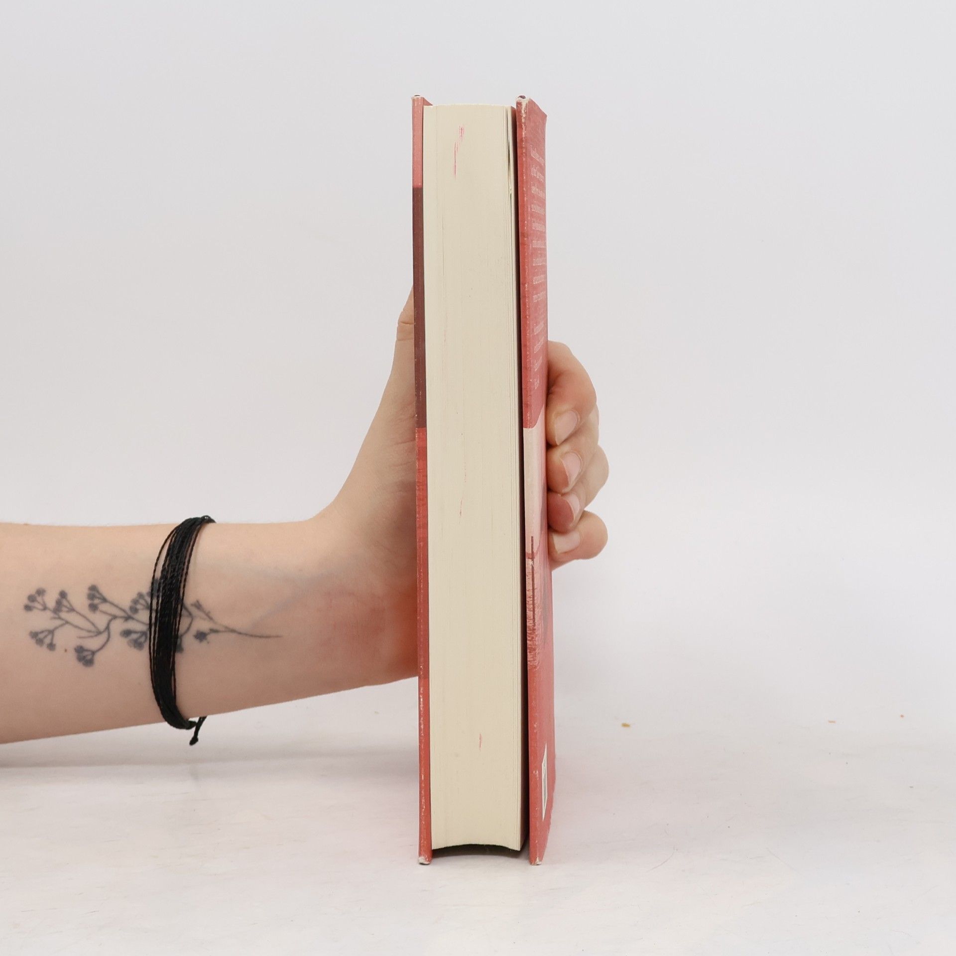 Donna Leon Venezianisches Finale