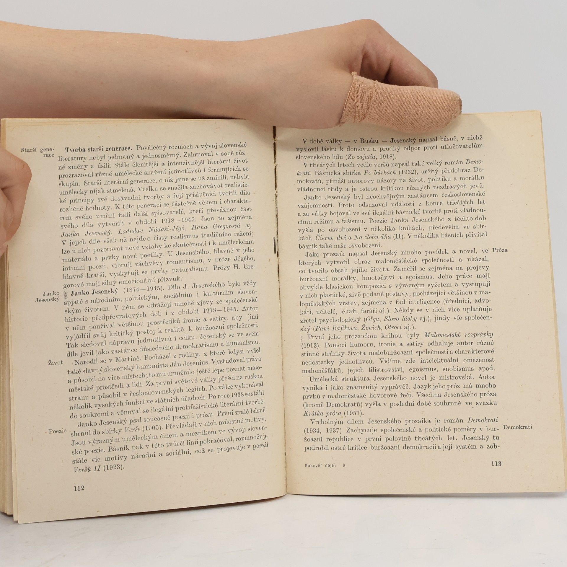 Ludvík Páleníček Rukověť české a slovenské literatury od roku 1918
