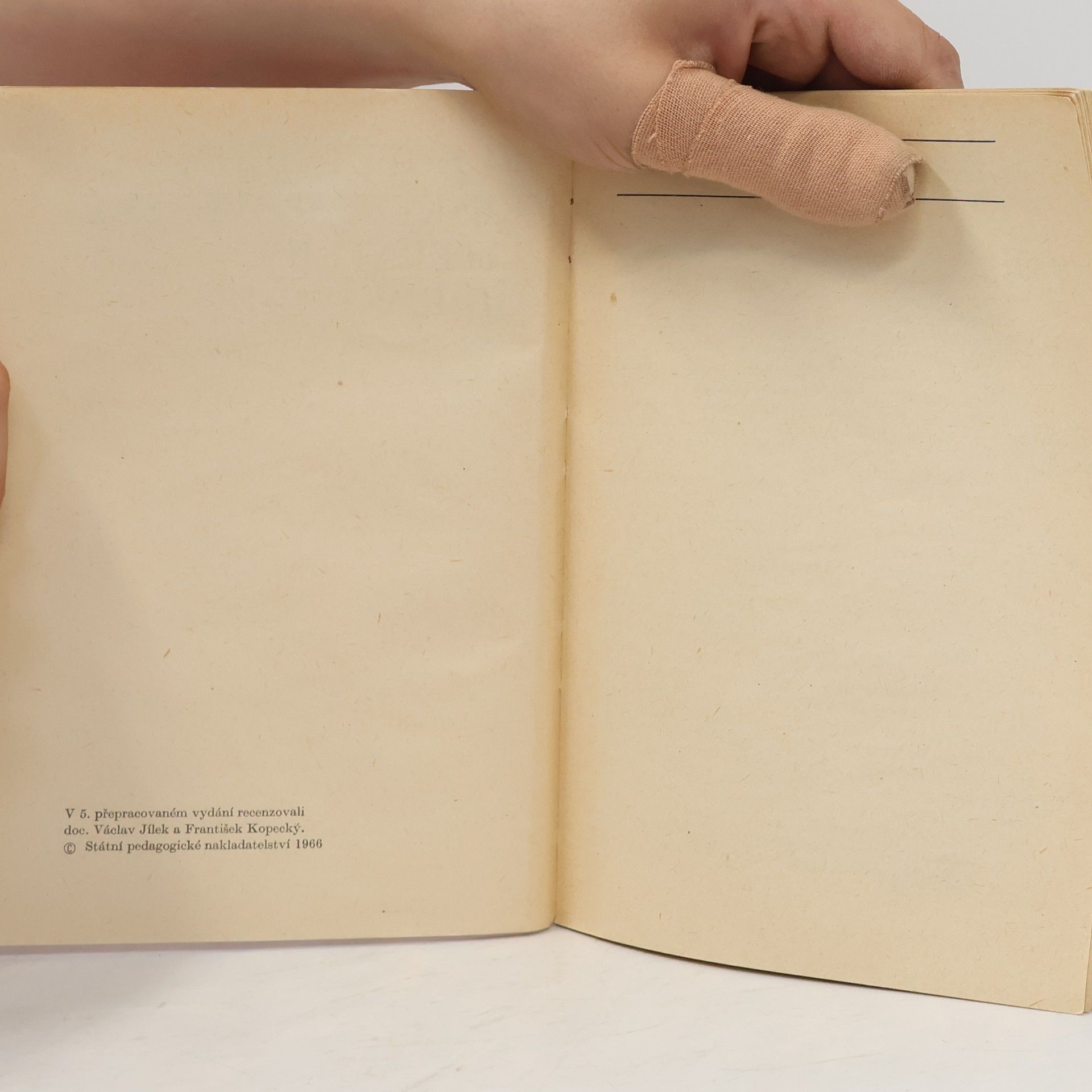 Ludvík Páleníček Rukověť české a slovenské literatury od roku 1918