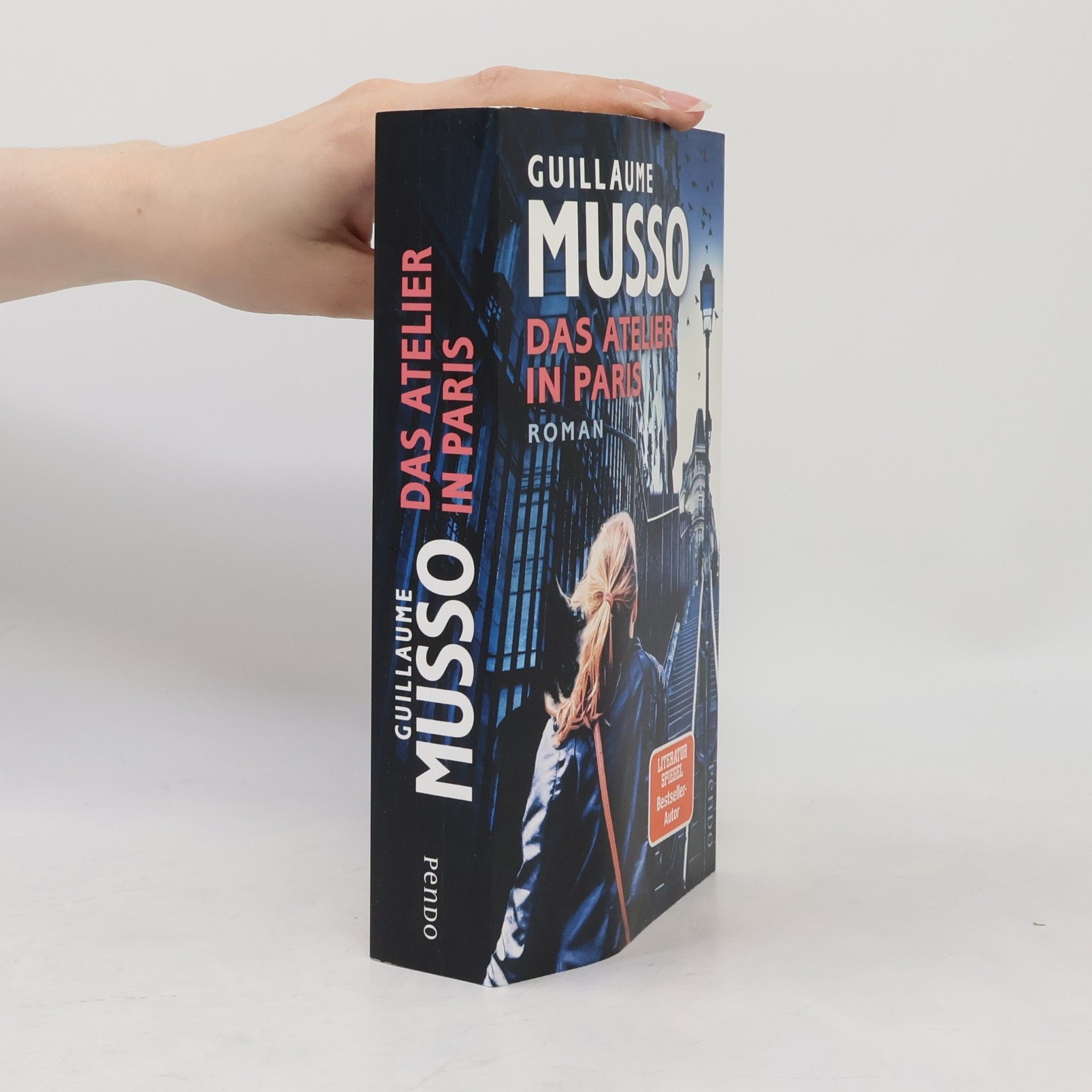Guillaume Musso Das Atelier in Paris