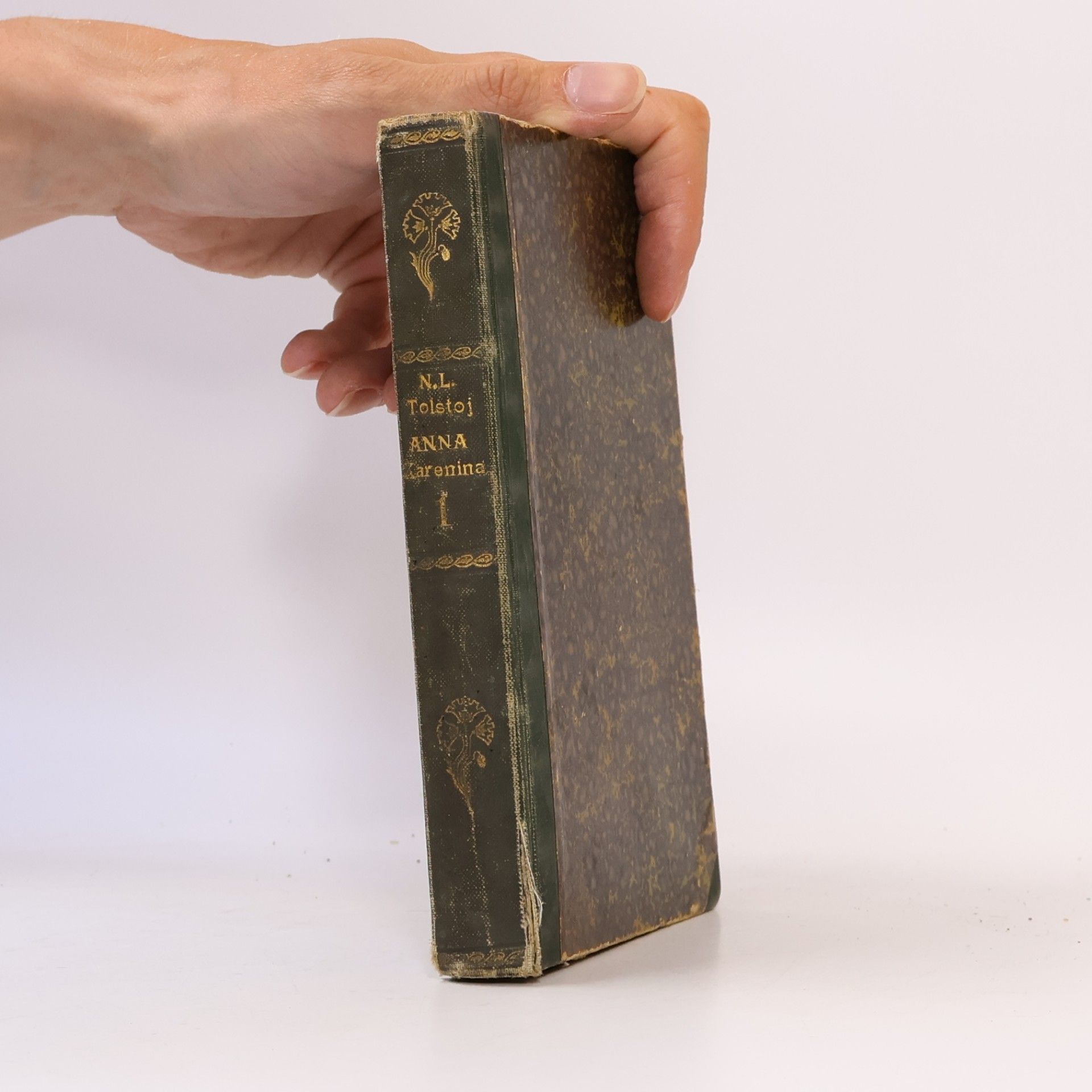 Lew Nikolajewitsch Tolstoi Anna Karenina 1