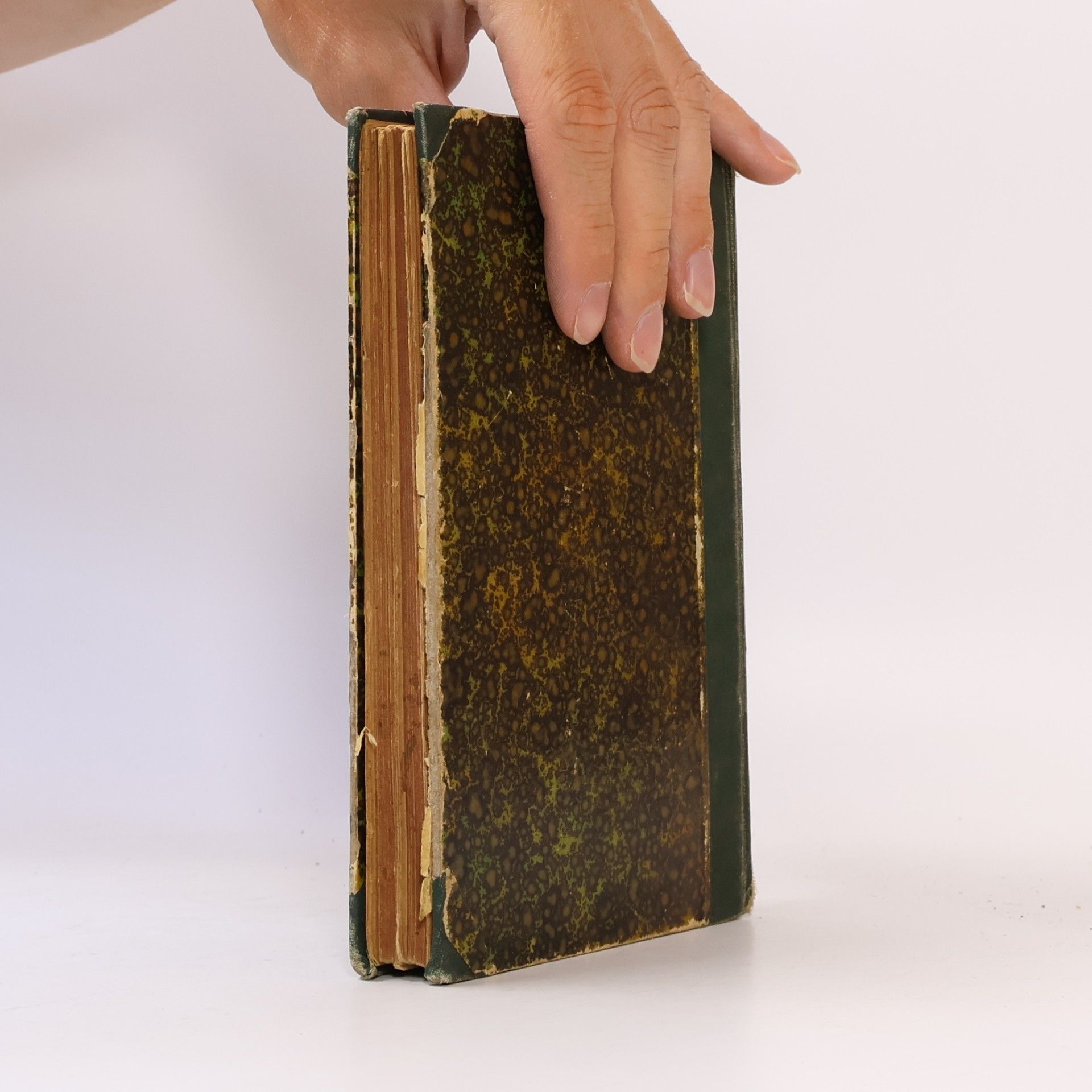 Lew Nikolajewitsch Tolstoi Anna Karenina 1