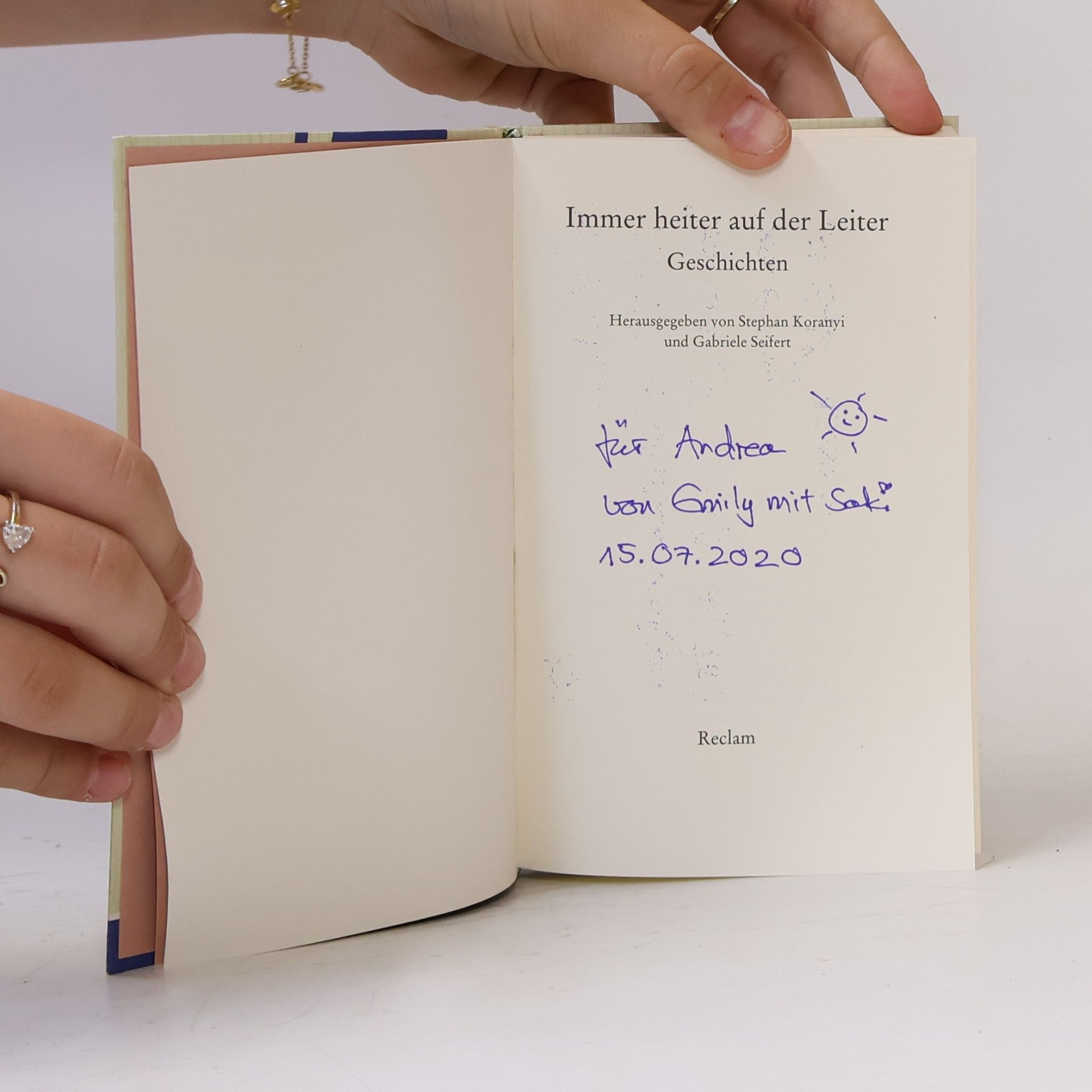 Stephan Koranyi Immer heiter auf der Leiter