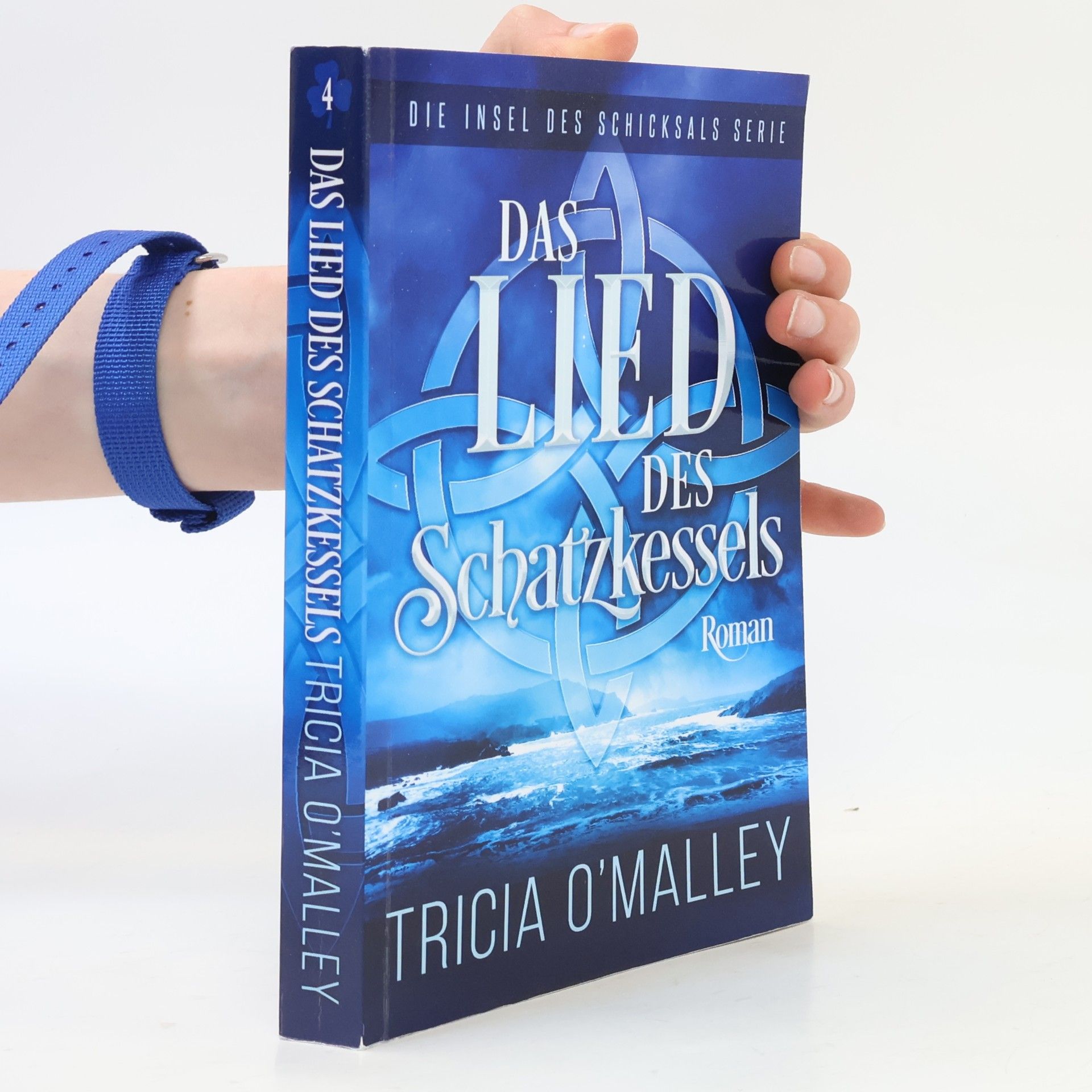 Daniel Friedrich Die Insel des Schicksals Serie - 4: Das Lied des Schatzkessels