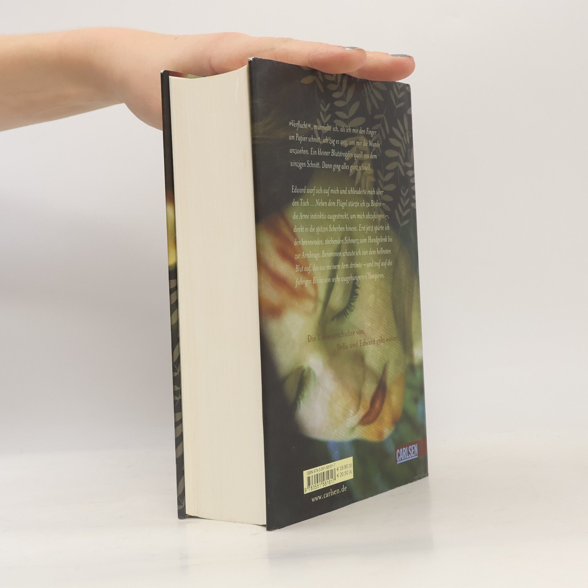 Stephenie Meyer Biss zur Mittagsstunde