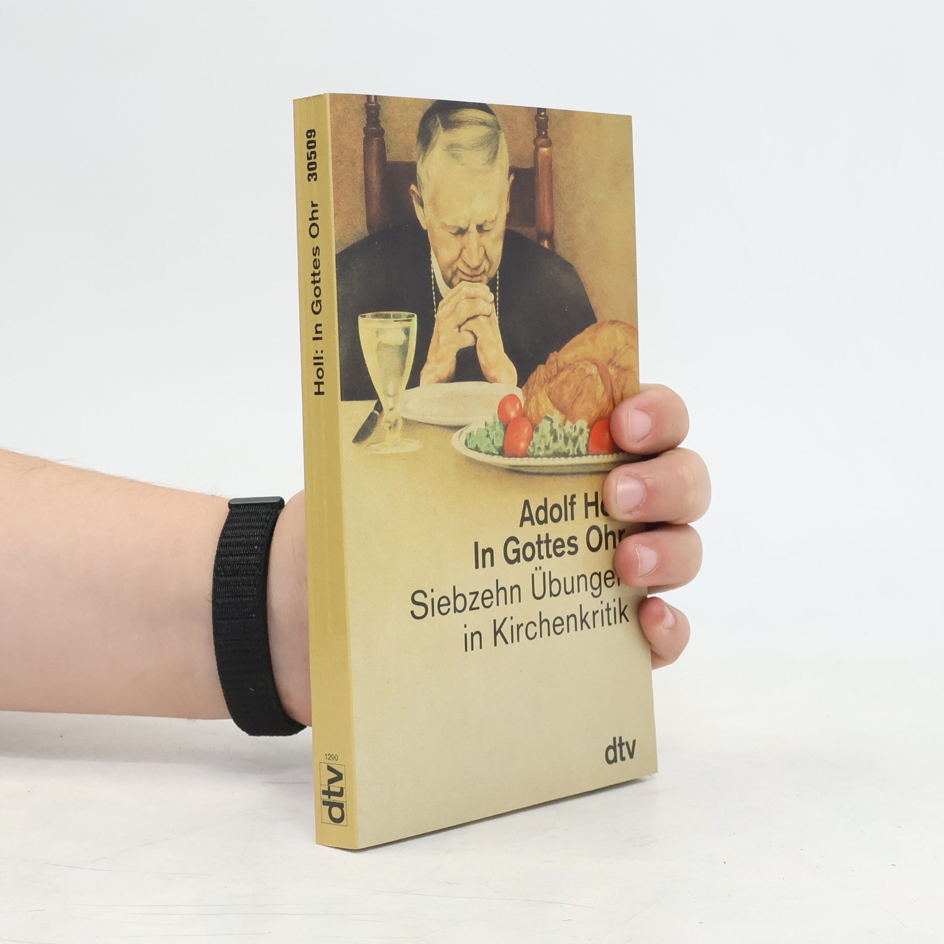 Adolf Holl dtv Sachbuch: In Gottes Ohr