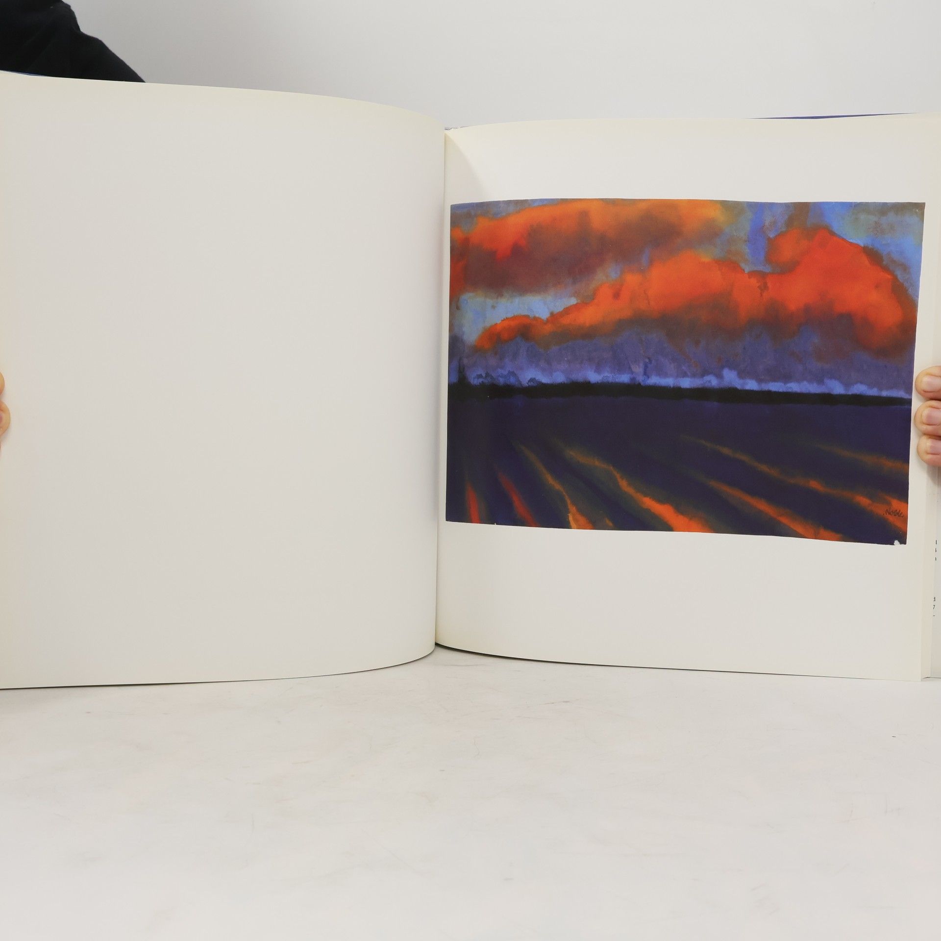 Emil Nolde Emil Nolde. Landschaften