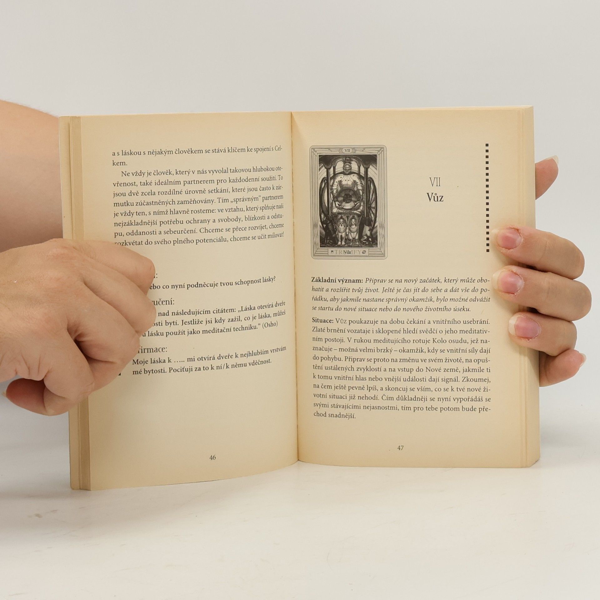 Gerd Ziegler Tarot : zrcadlo našeho určení : příručka k tarotu Aleistera Crowleyho