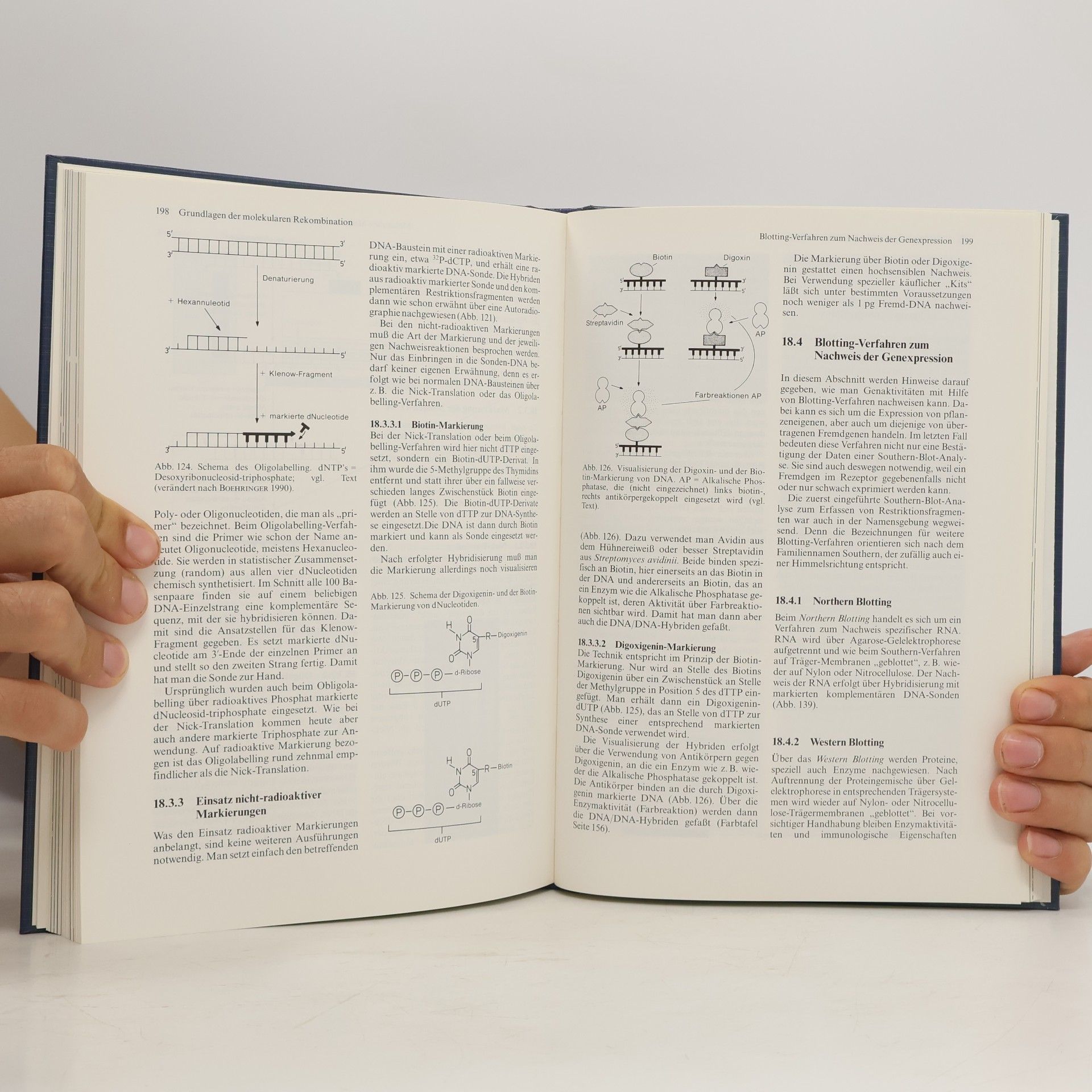 Dieter Heß UTB für Wissenschaft: Biotechnologie der Pflanzen. Eine Einführung.