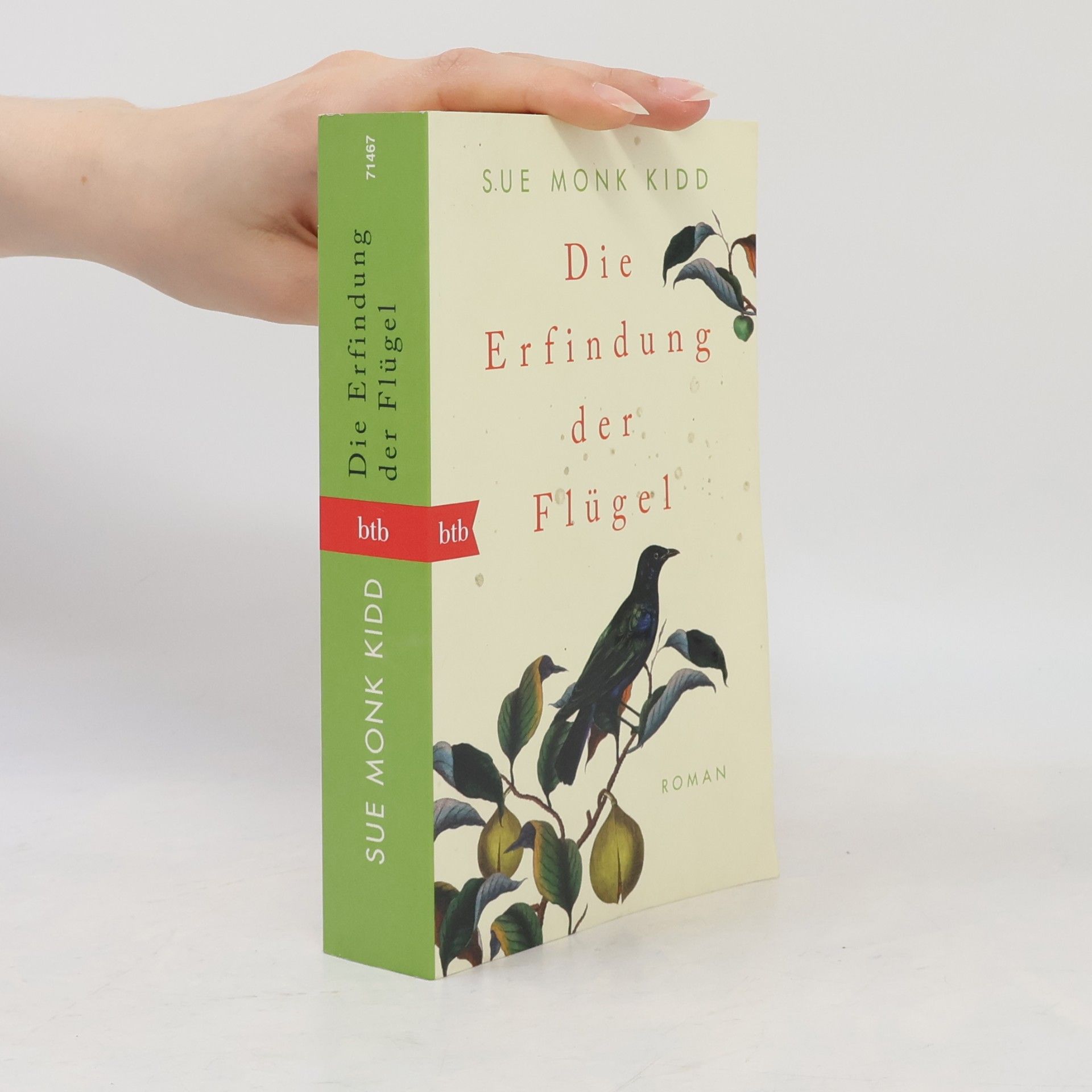 Sue Monk Kidd Die Erfindung der Flügel