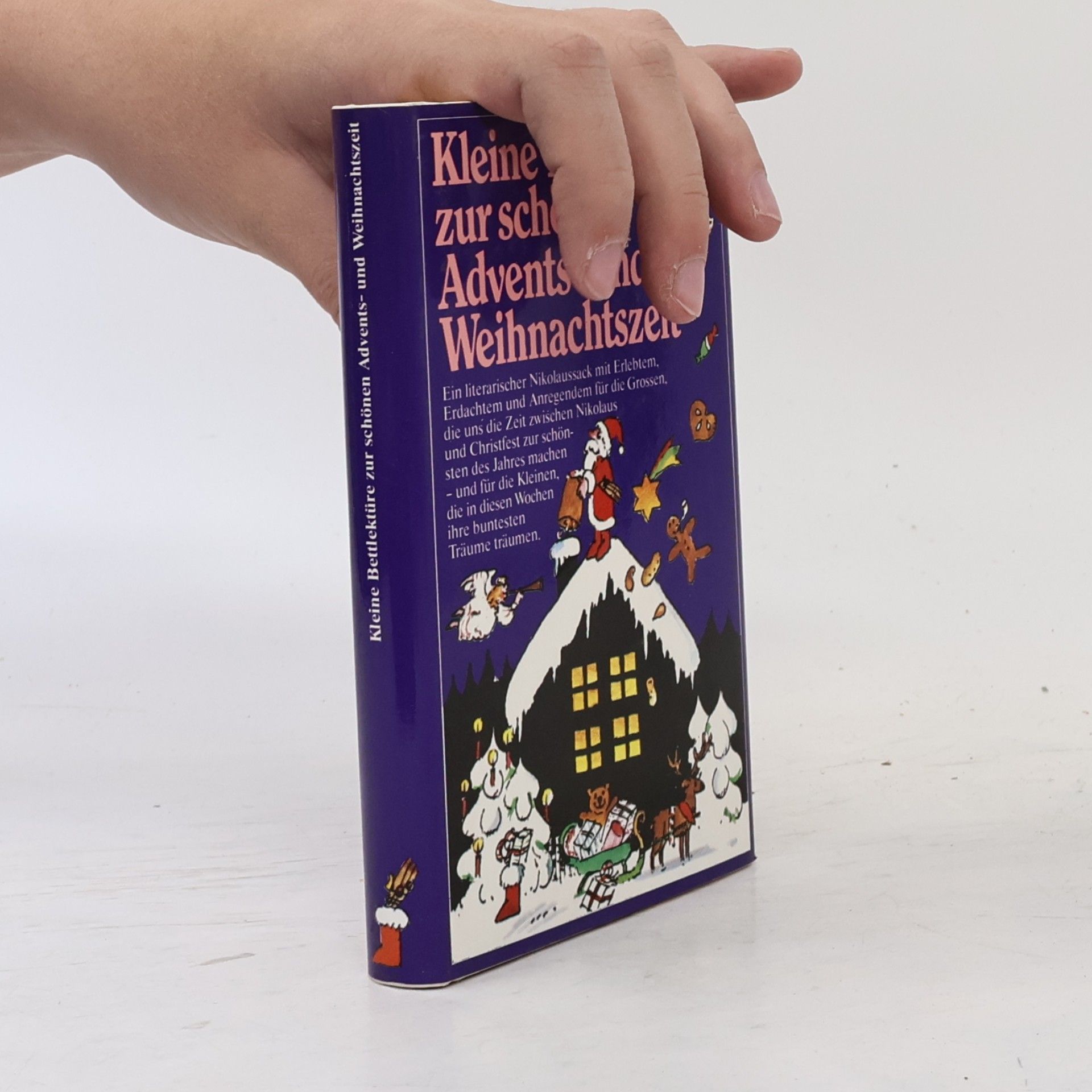 Autorenkollektiv Kleine Bettlektüre zur schönen Advents - und Weihnachtszeit