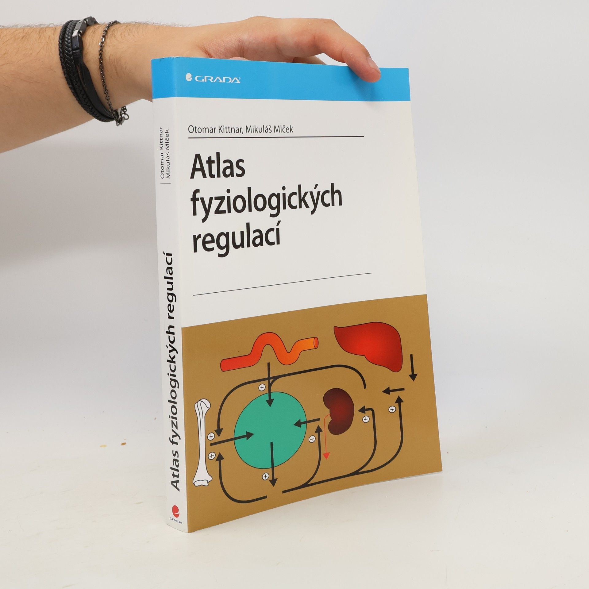 Otomar Kittnar Atlas fyziologických regulací. 329 schémat