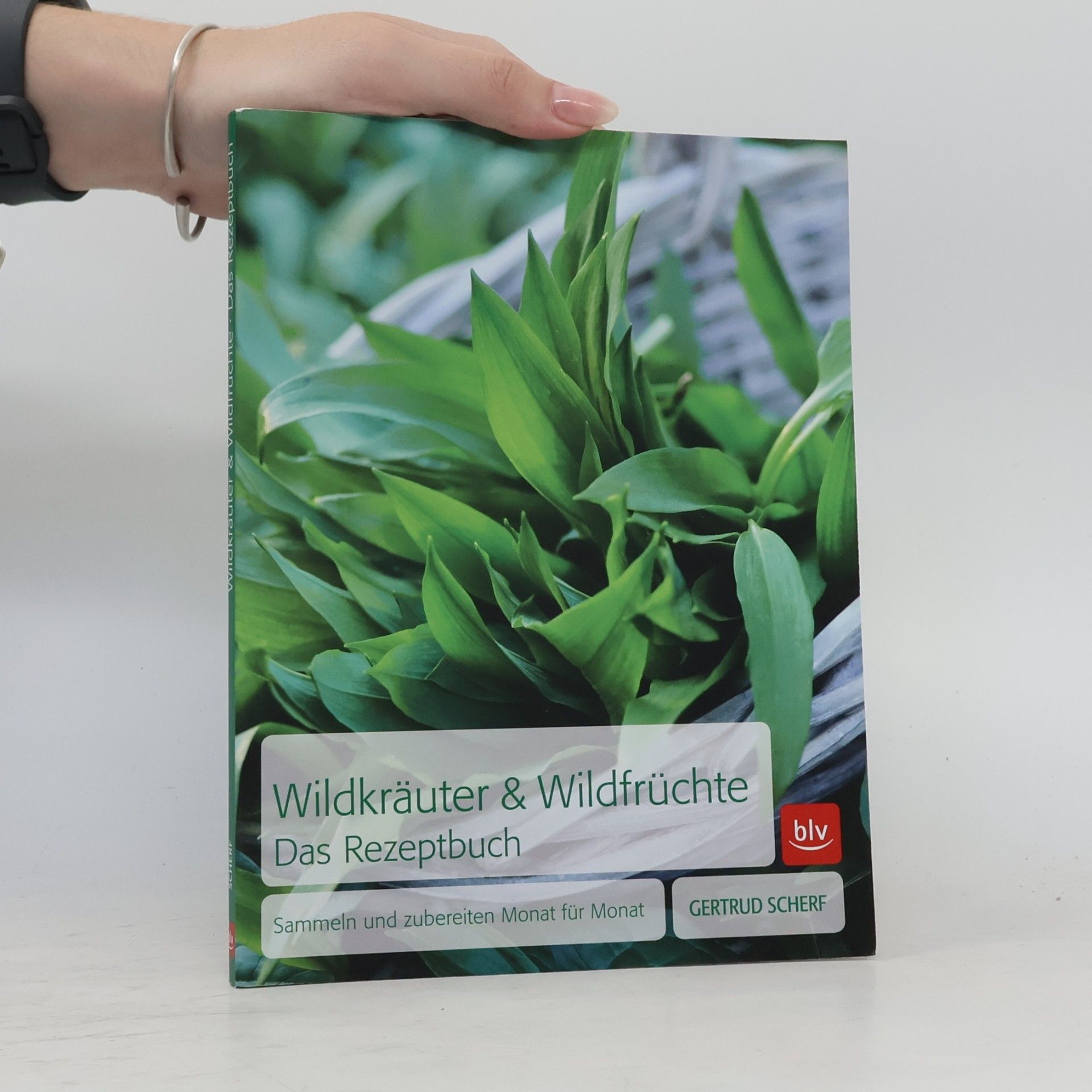 Gertrud Scherf Wildkräuter & Wildfrüchte - Das Rezeptbuch