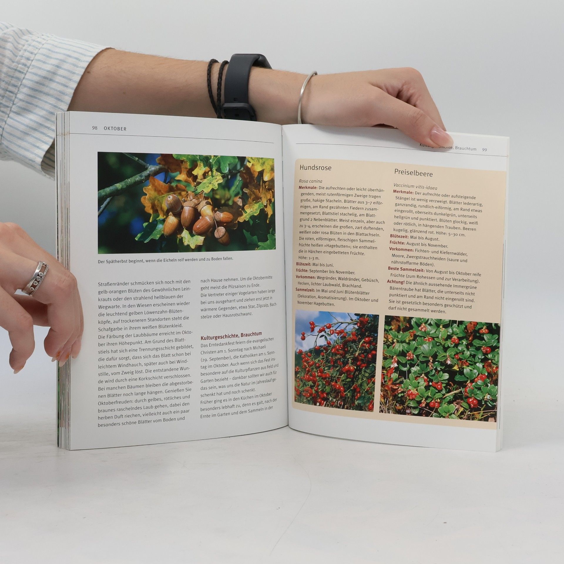 Gertrud Scherf Wildkräuter & Wildfrüchte - Das Rezeptbuch