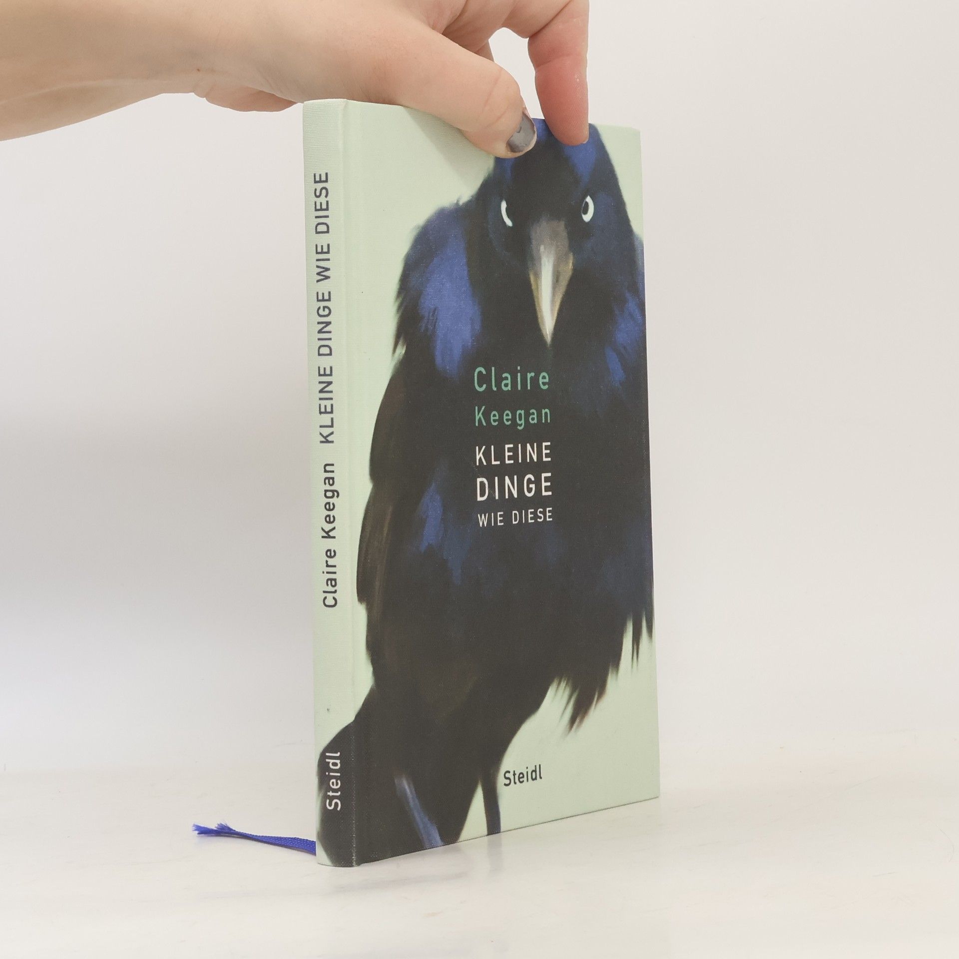 Claire Keegan Kleine Dinge wie diese